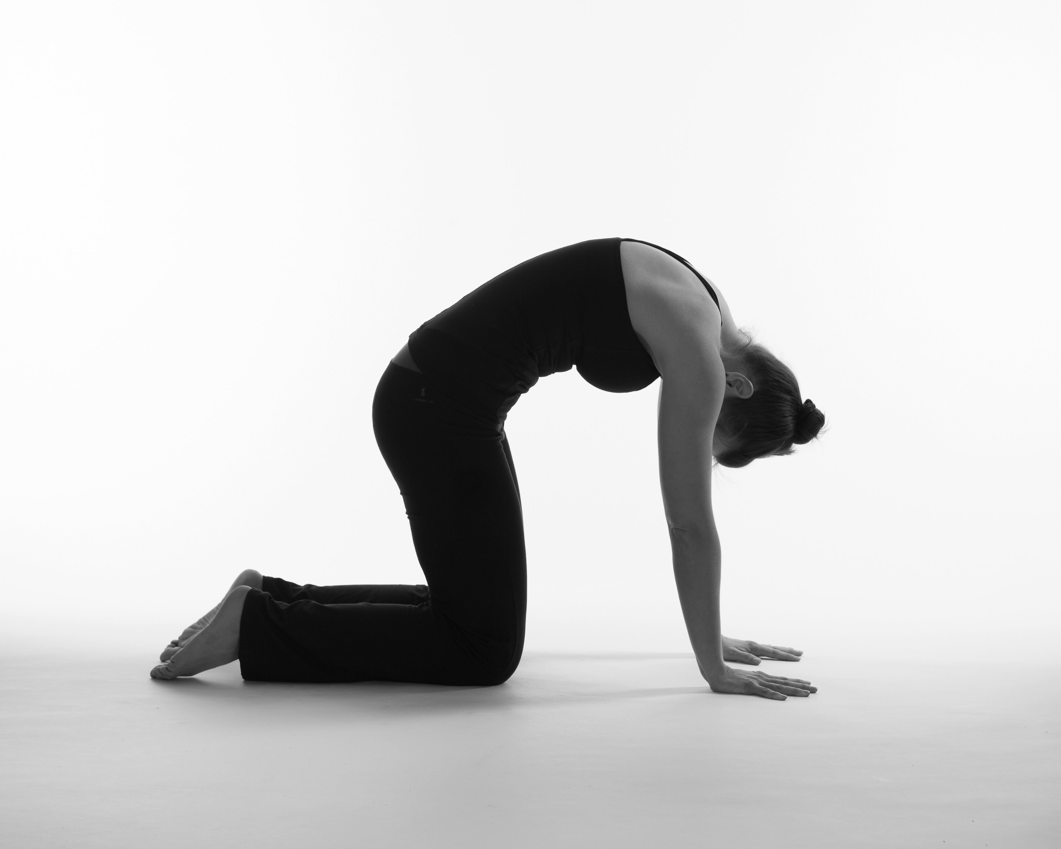 Cat Pose Yoga