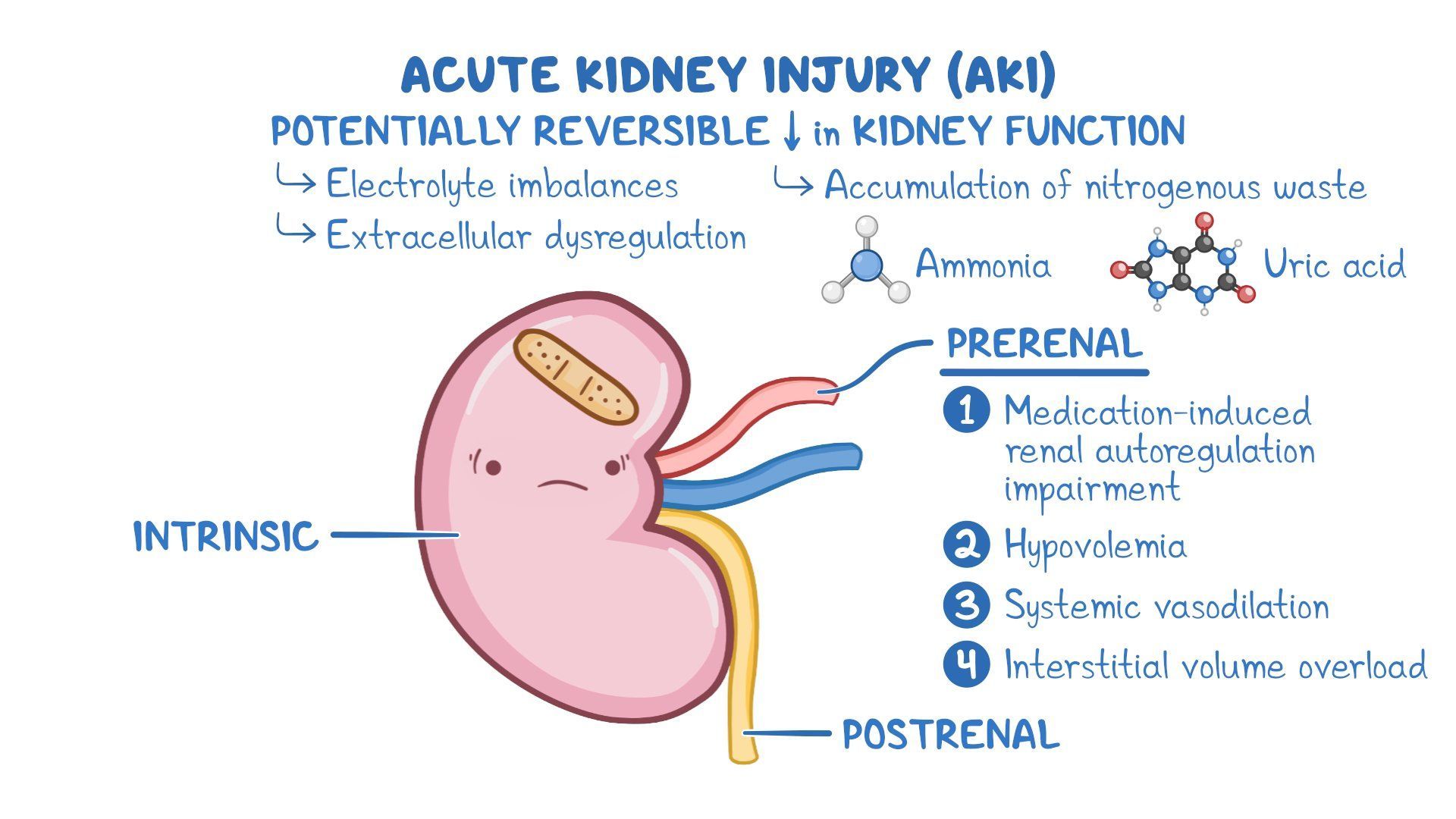 Causes Of Kidney Failure