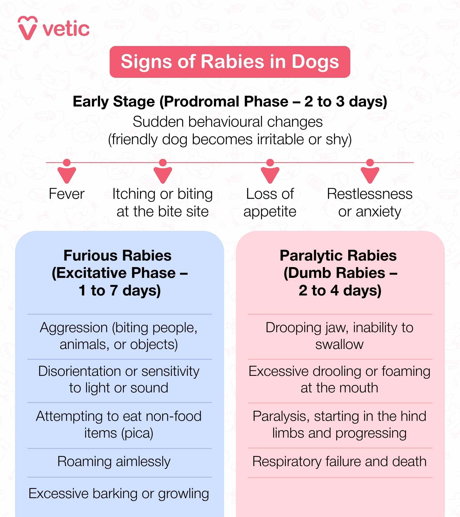 Causes Of Rabies In Dogs