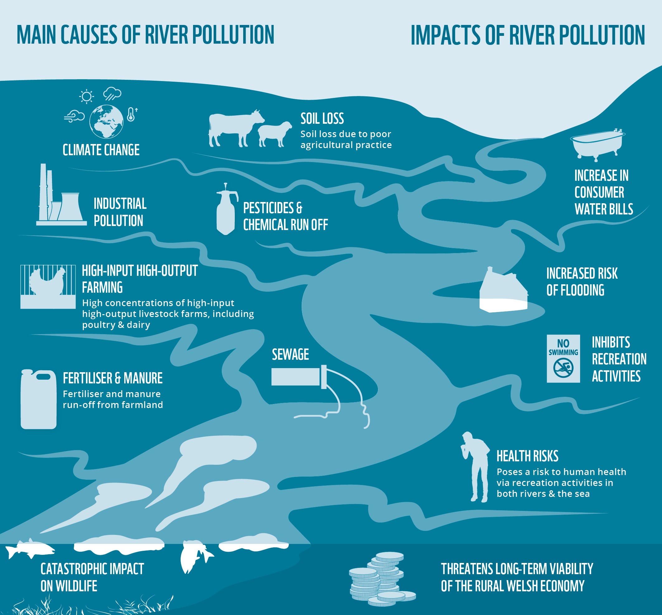 Causes Of River Pollution