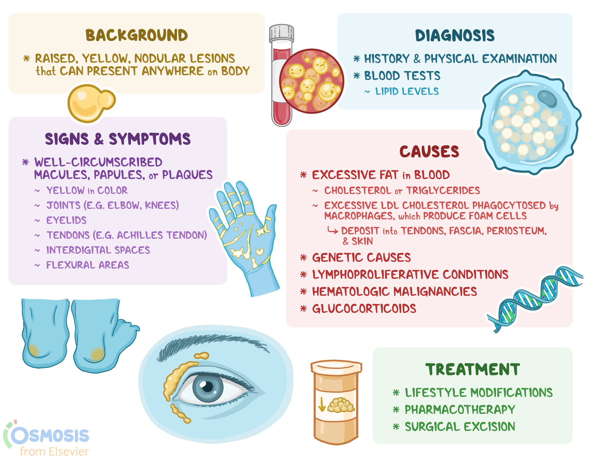 Causes Of Xanthoma
