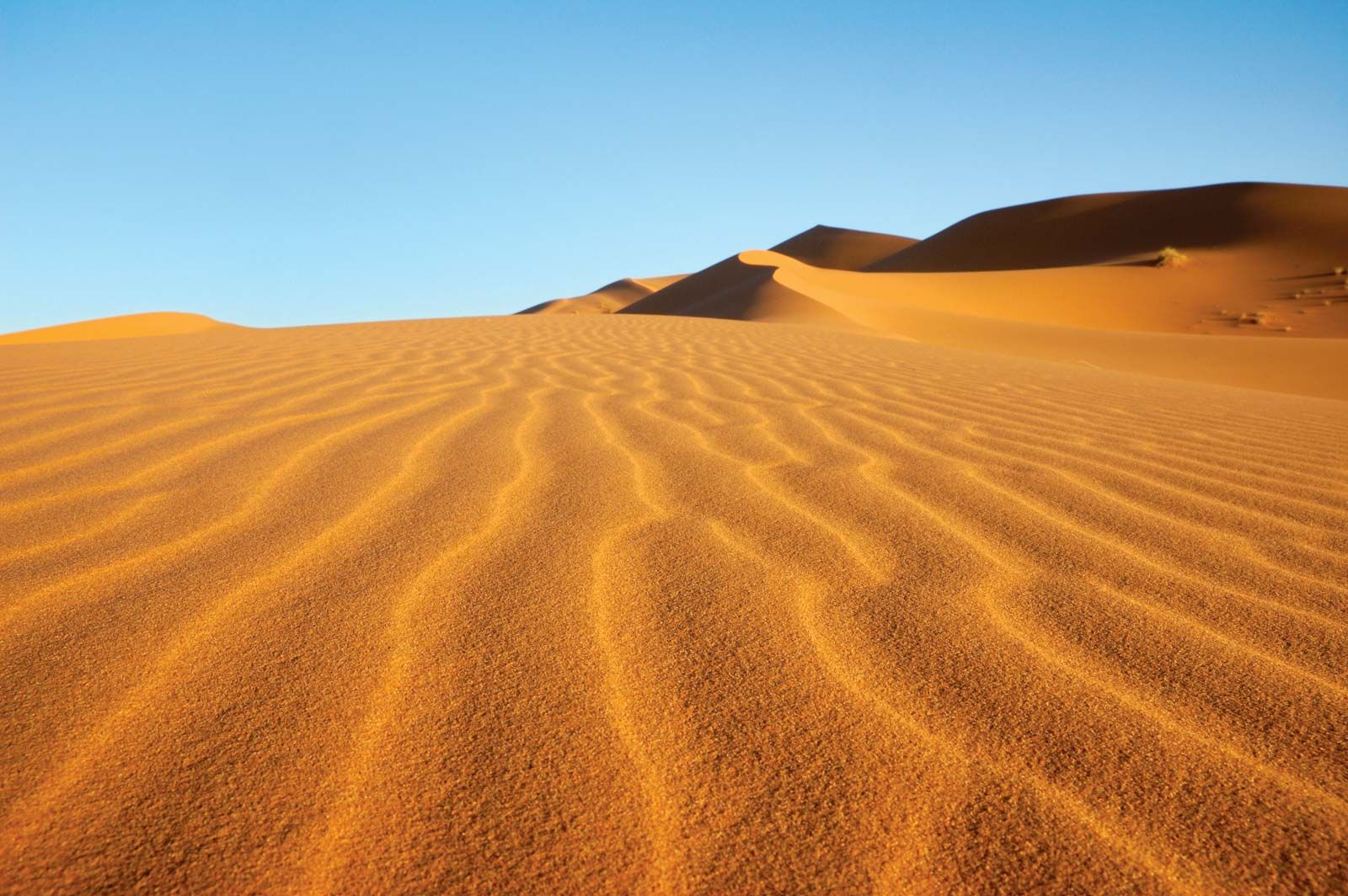 Characteristics Of Desert Climate