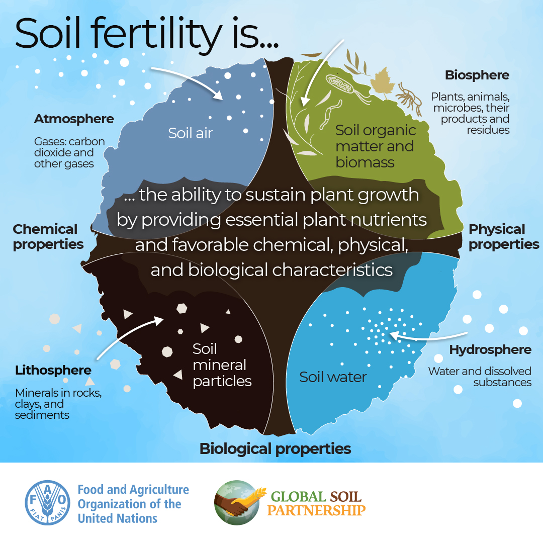 Characteristics Of Fertile Soil