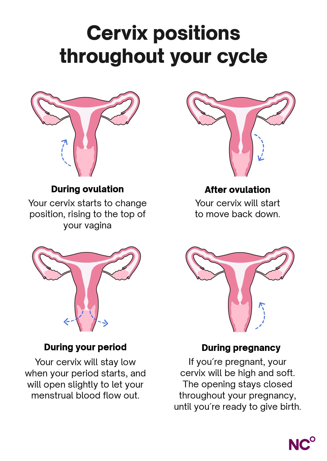Closing Of Cervix