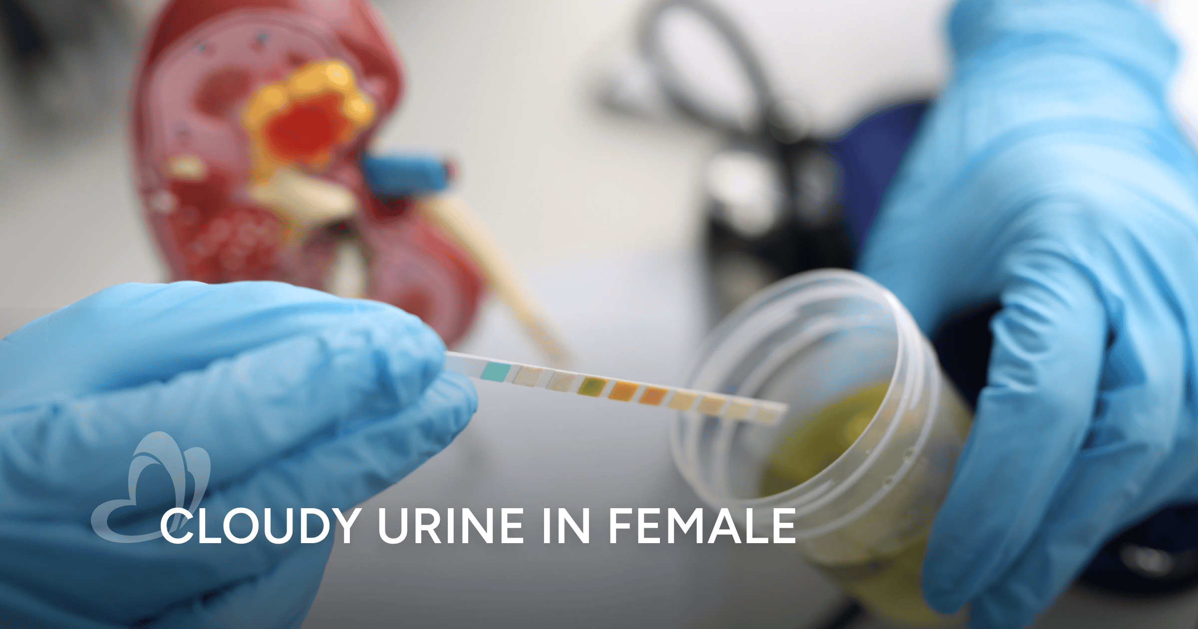 Cloudy Urine In Women