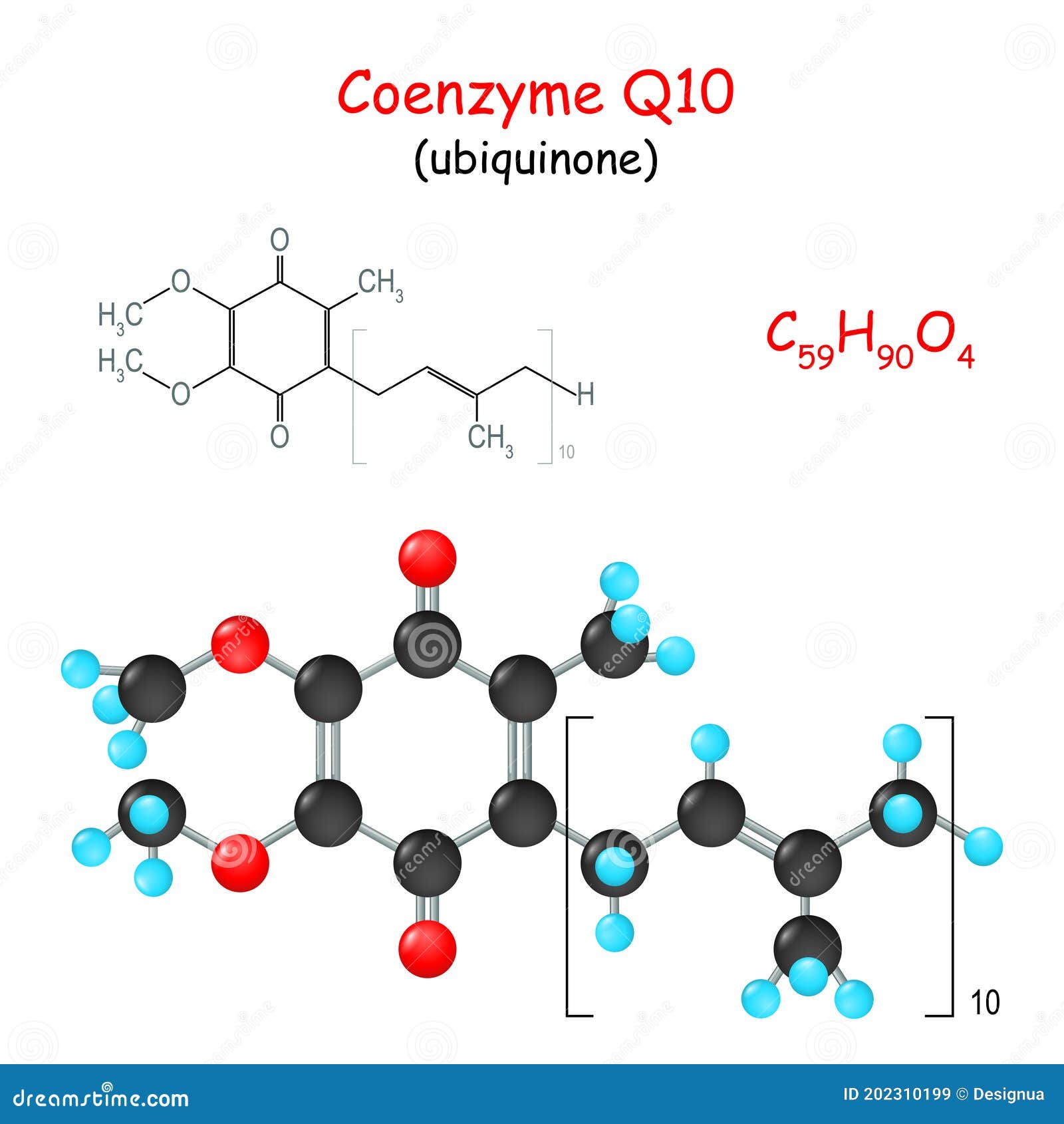 Coenzyme Q10 Ubiquinone Or Ubiquinol