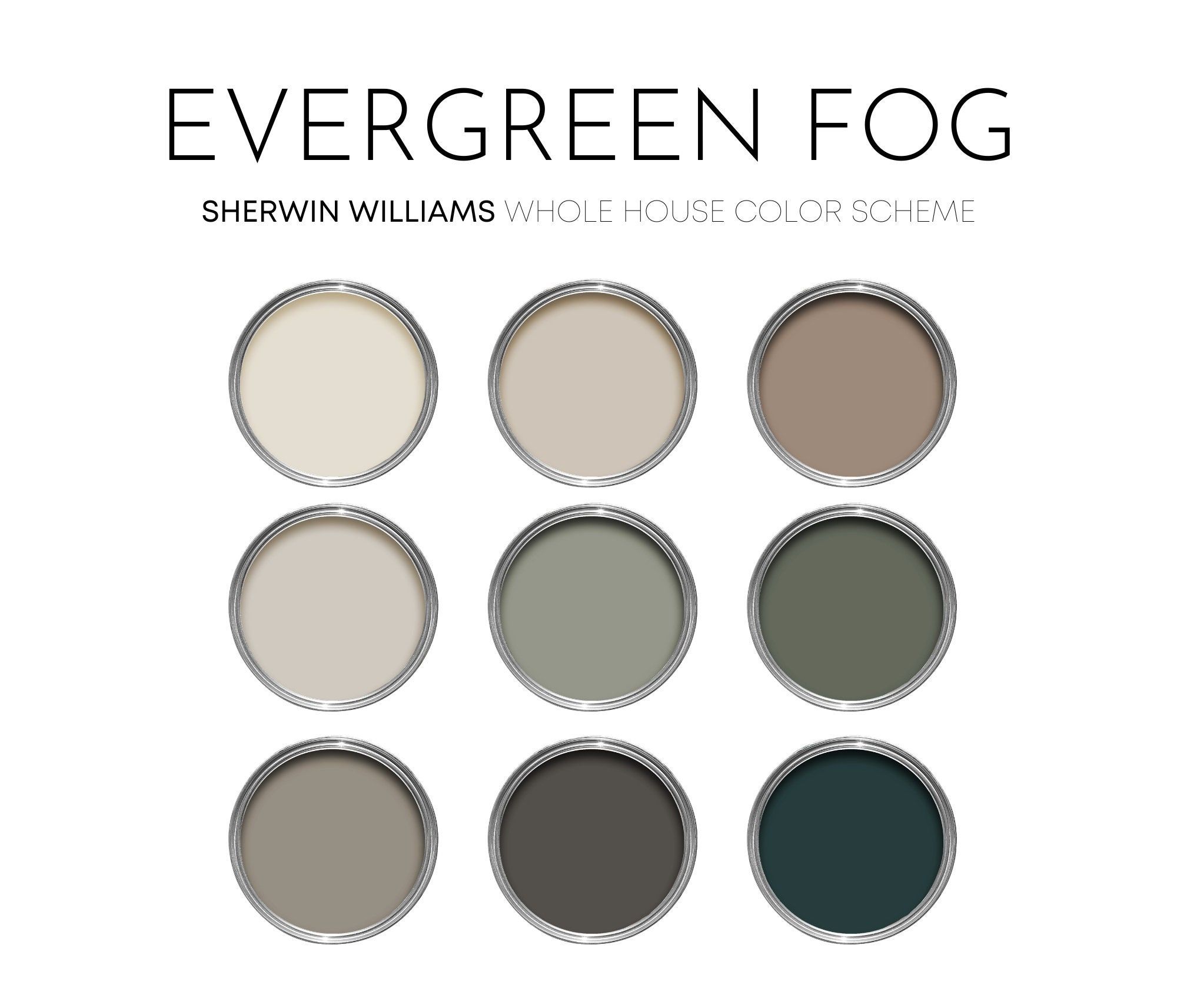 Color Palette For Evergreen Fog