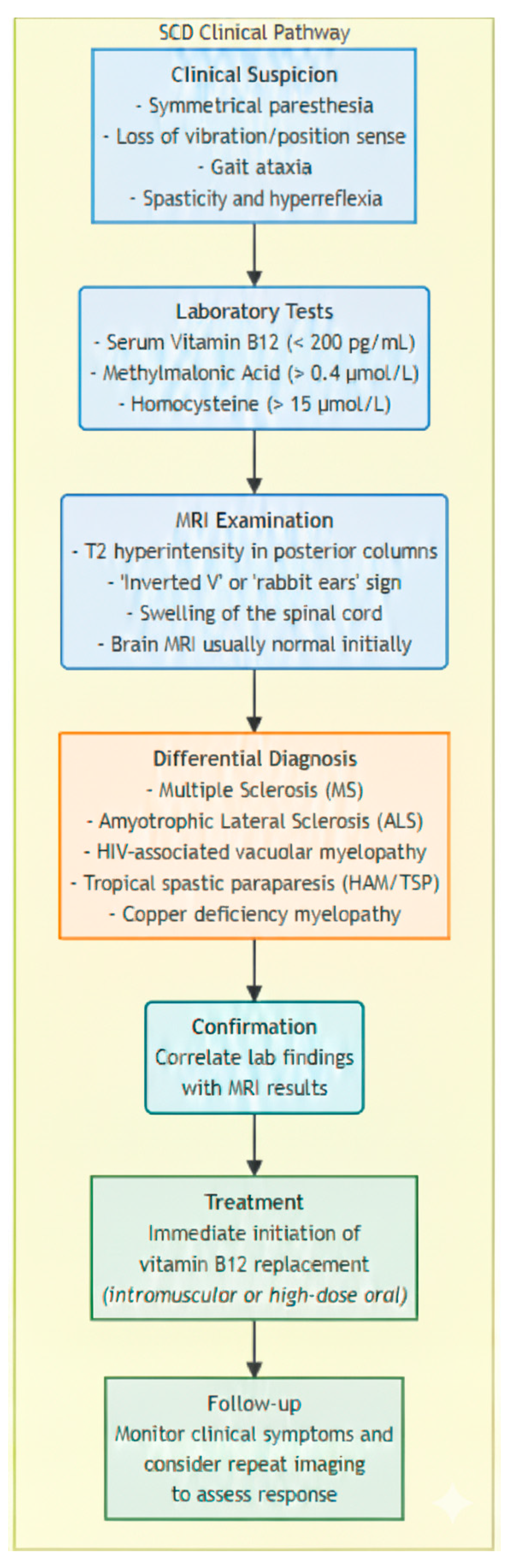 Combined Subacute Degeneration