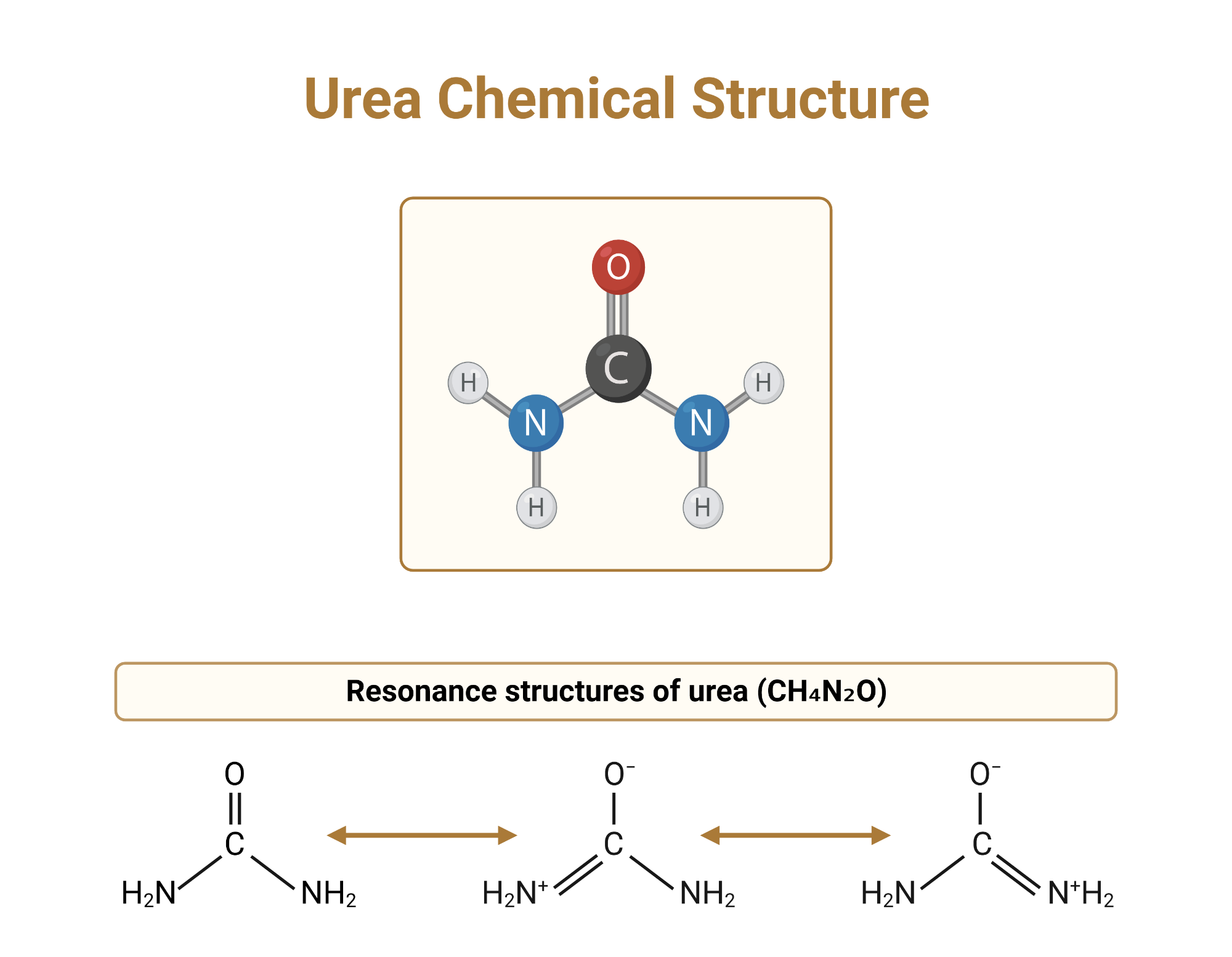 Components Of Urea Fertilizer