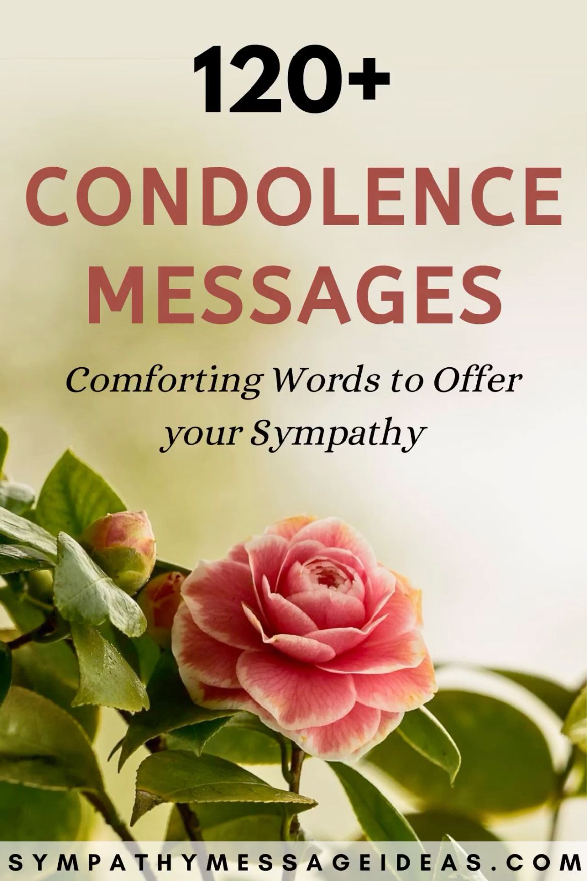 Condolence Message For Coworker