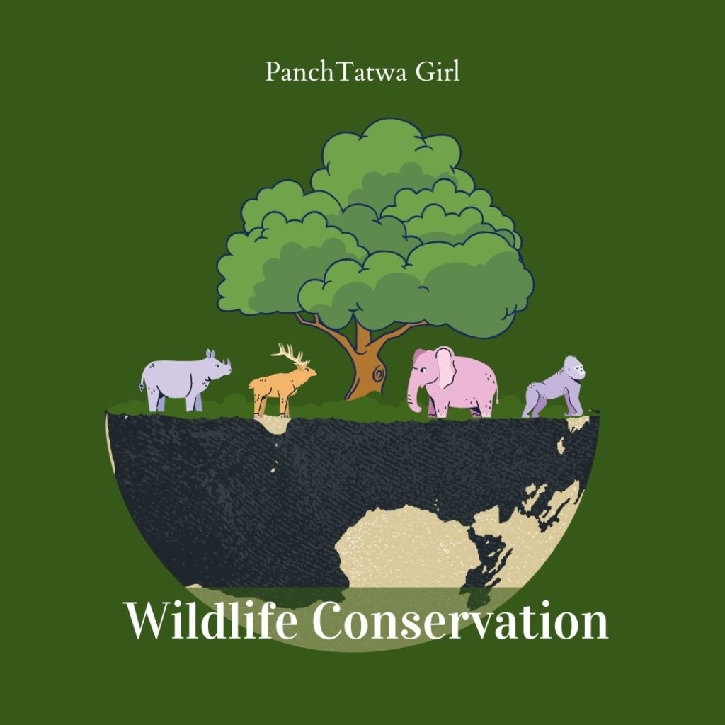 Conservation Of Wildlife