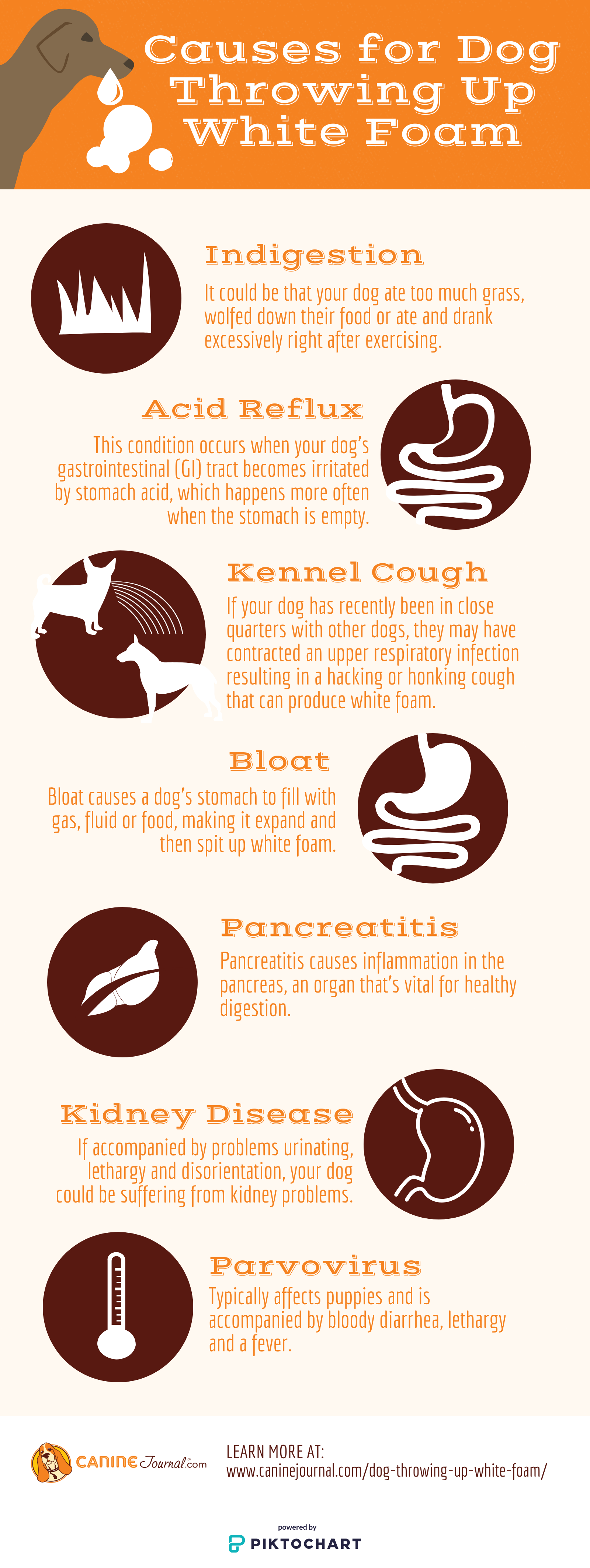 Coughing And Throwing Up