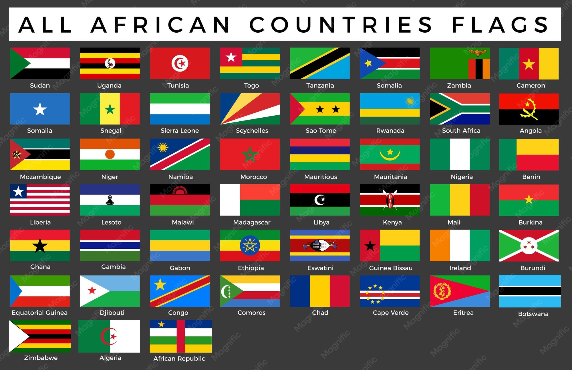 Country Flag In Africa