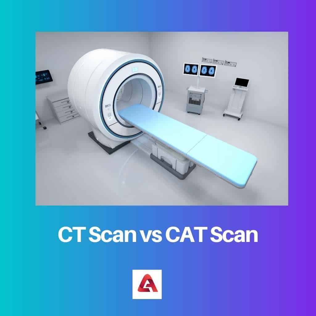 Ct Vs Cat Scan