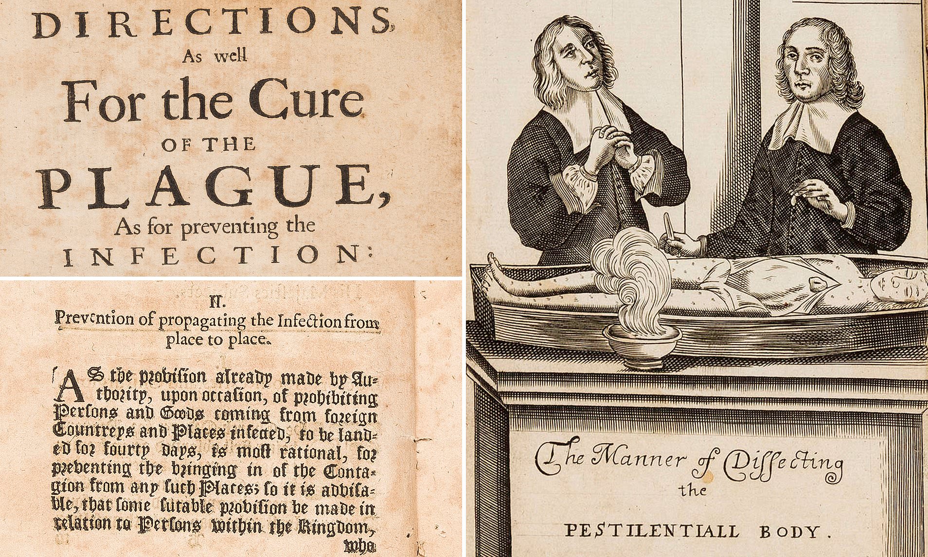 Cures Of The Plague