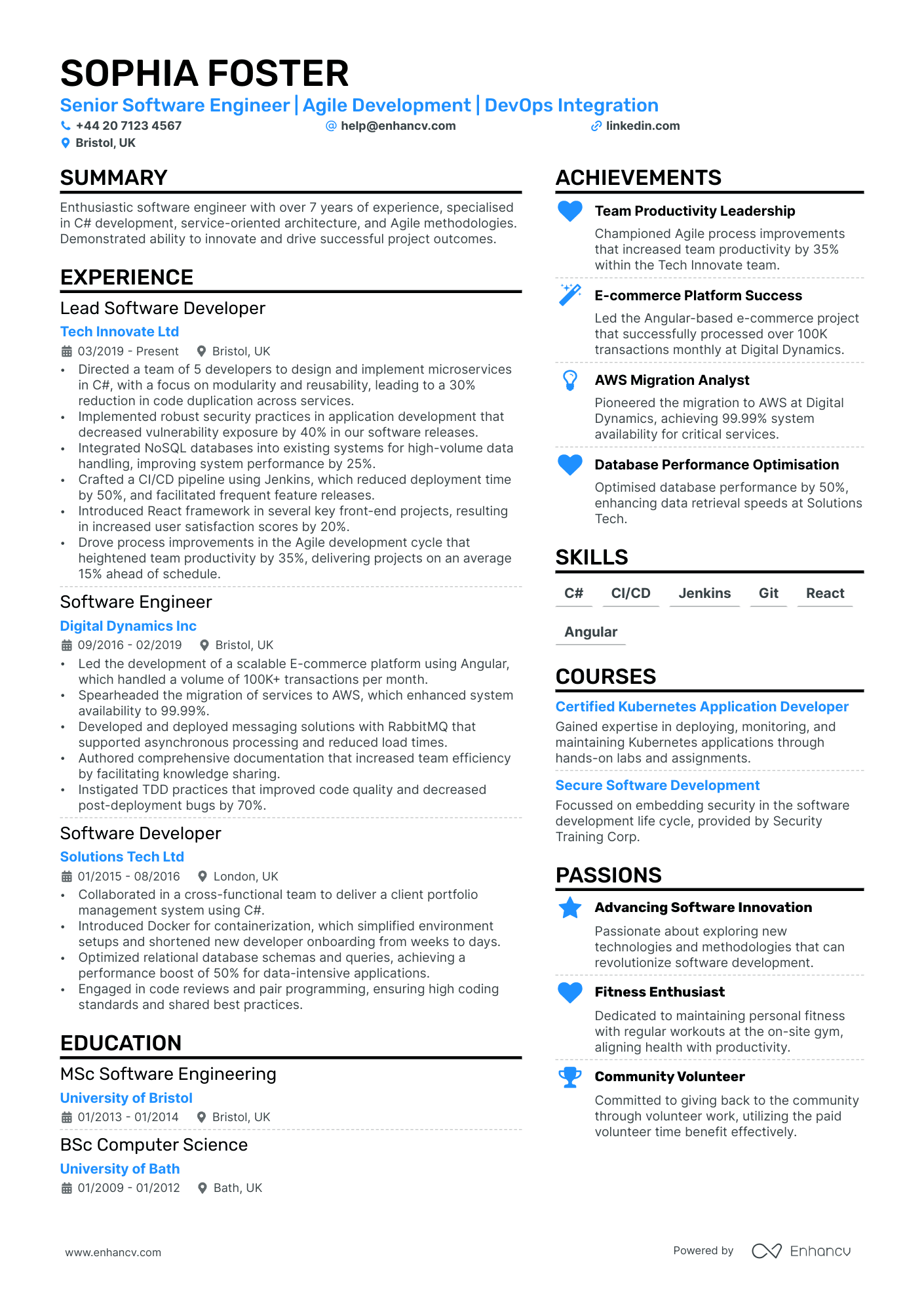 Curriculum Vitae Software Engineer
