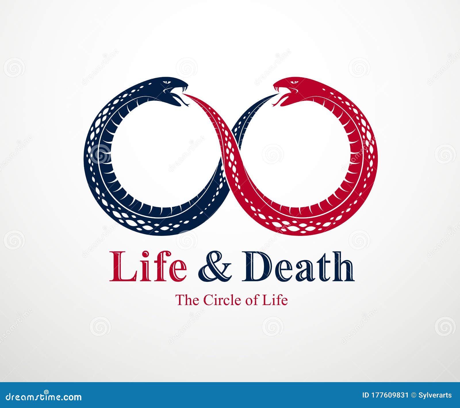 Cycle Of Life And Death