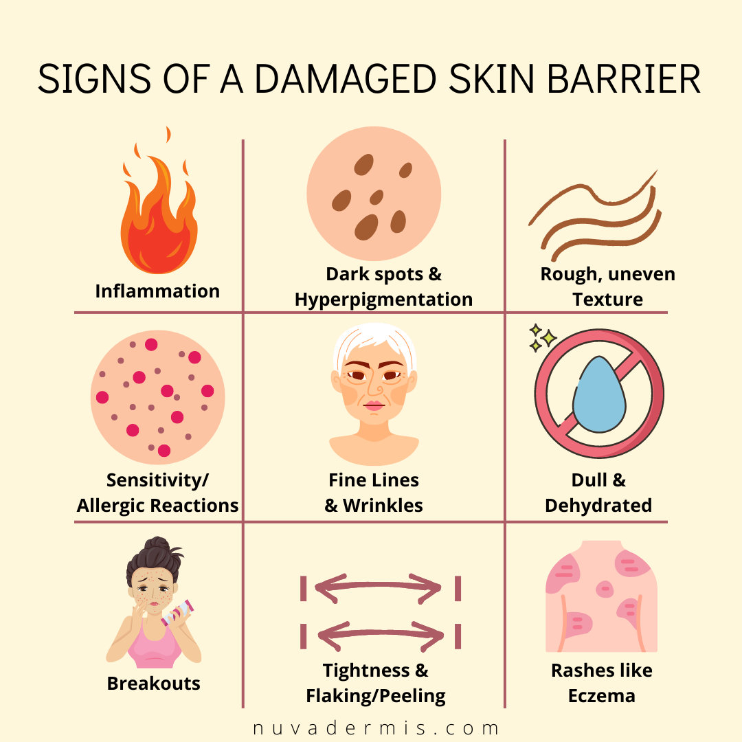 Damaged Skin Barrier