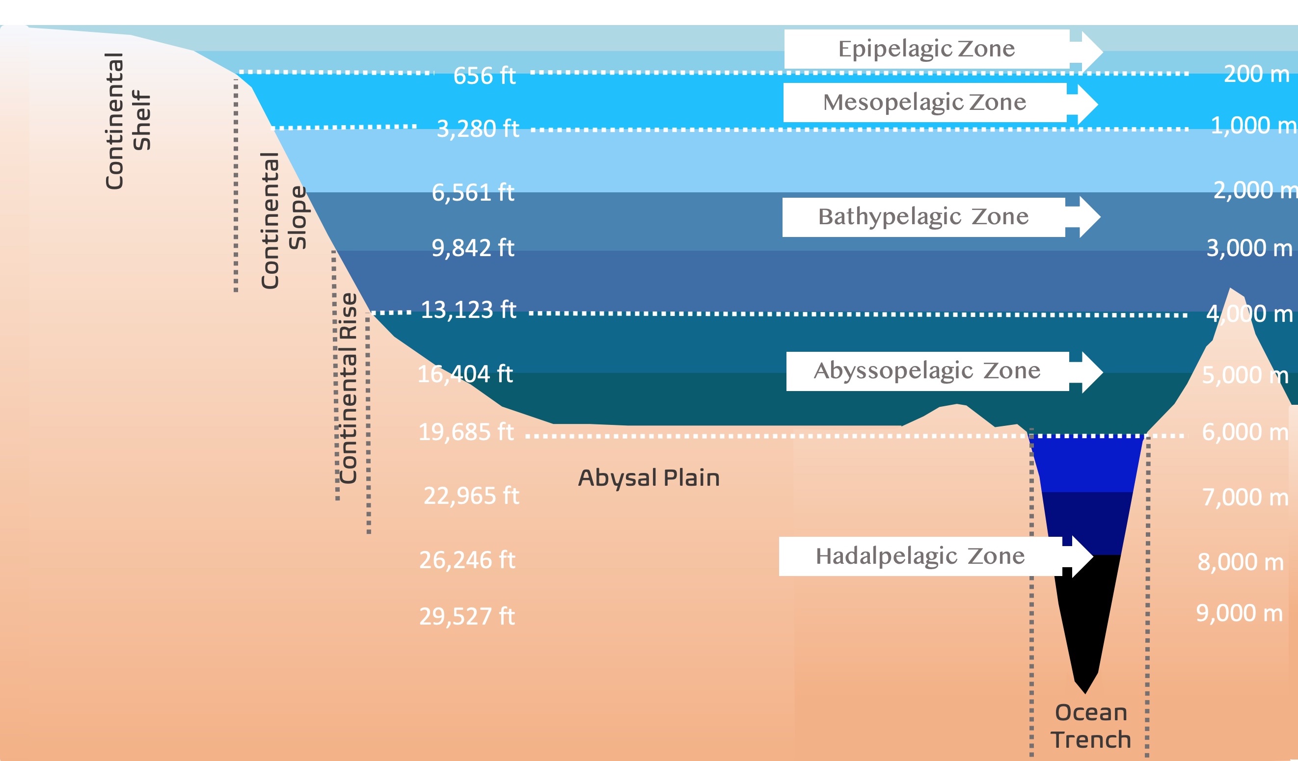 Depth Of Ocean In Km