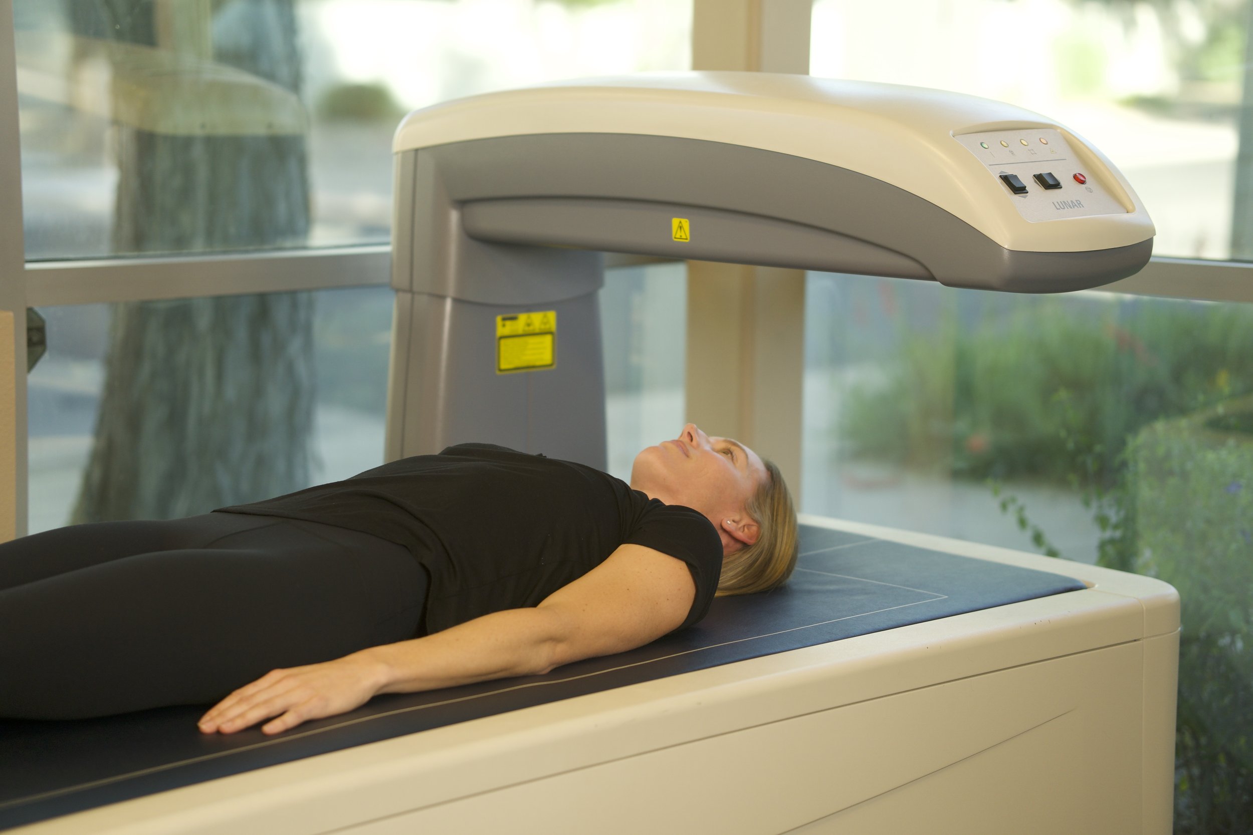 Dexa Machine Body Fat