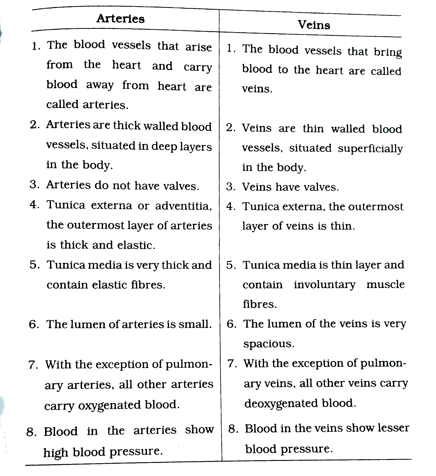 Difference Between Arteries And Veins