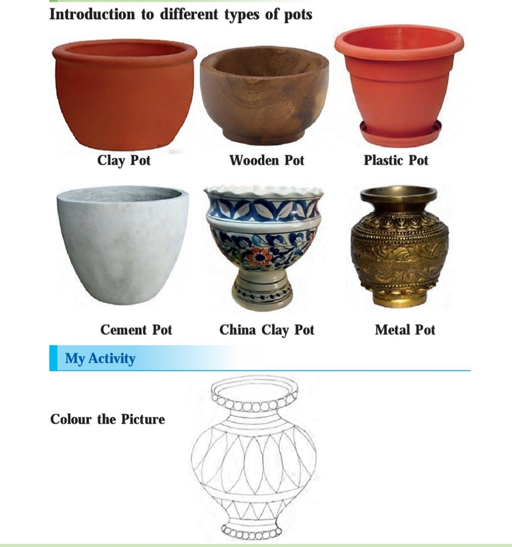 Different Types Of Pots
