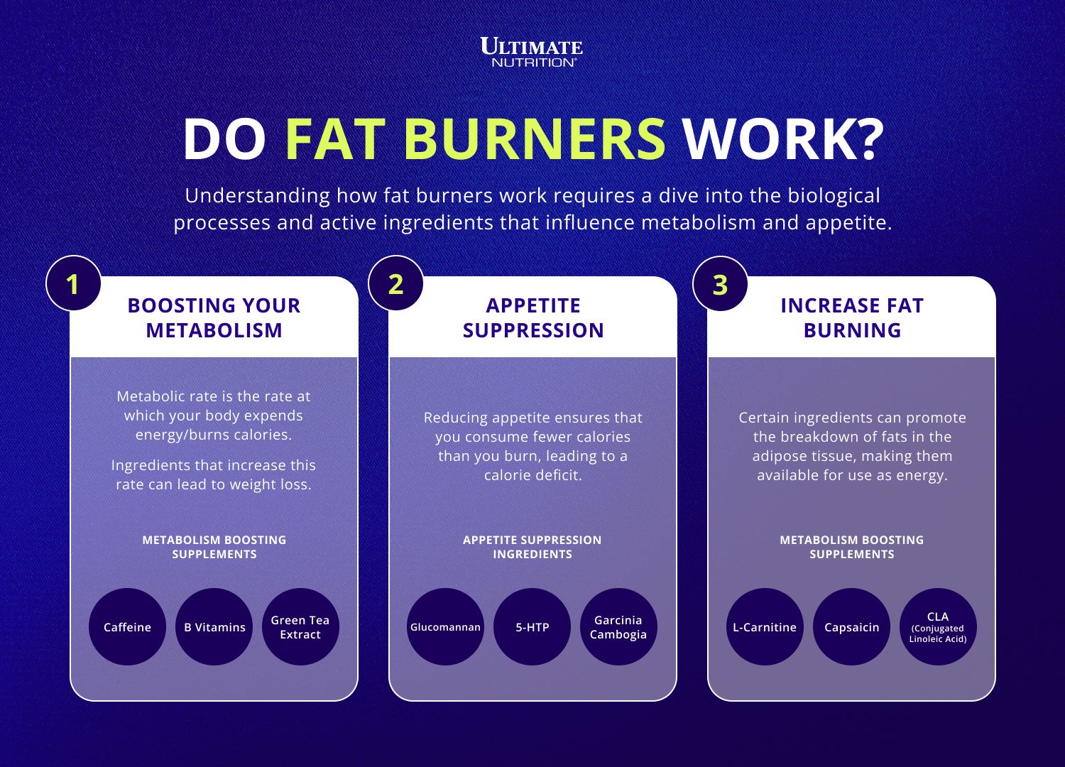 Do Fat Burners Work