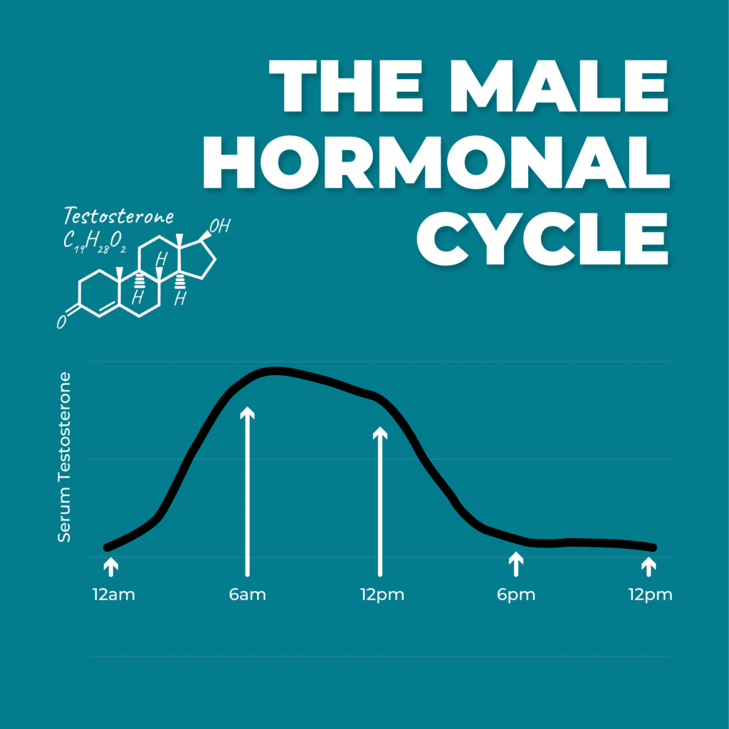 Do Guys Have Hormones
