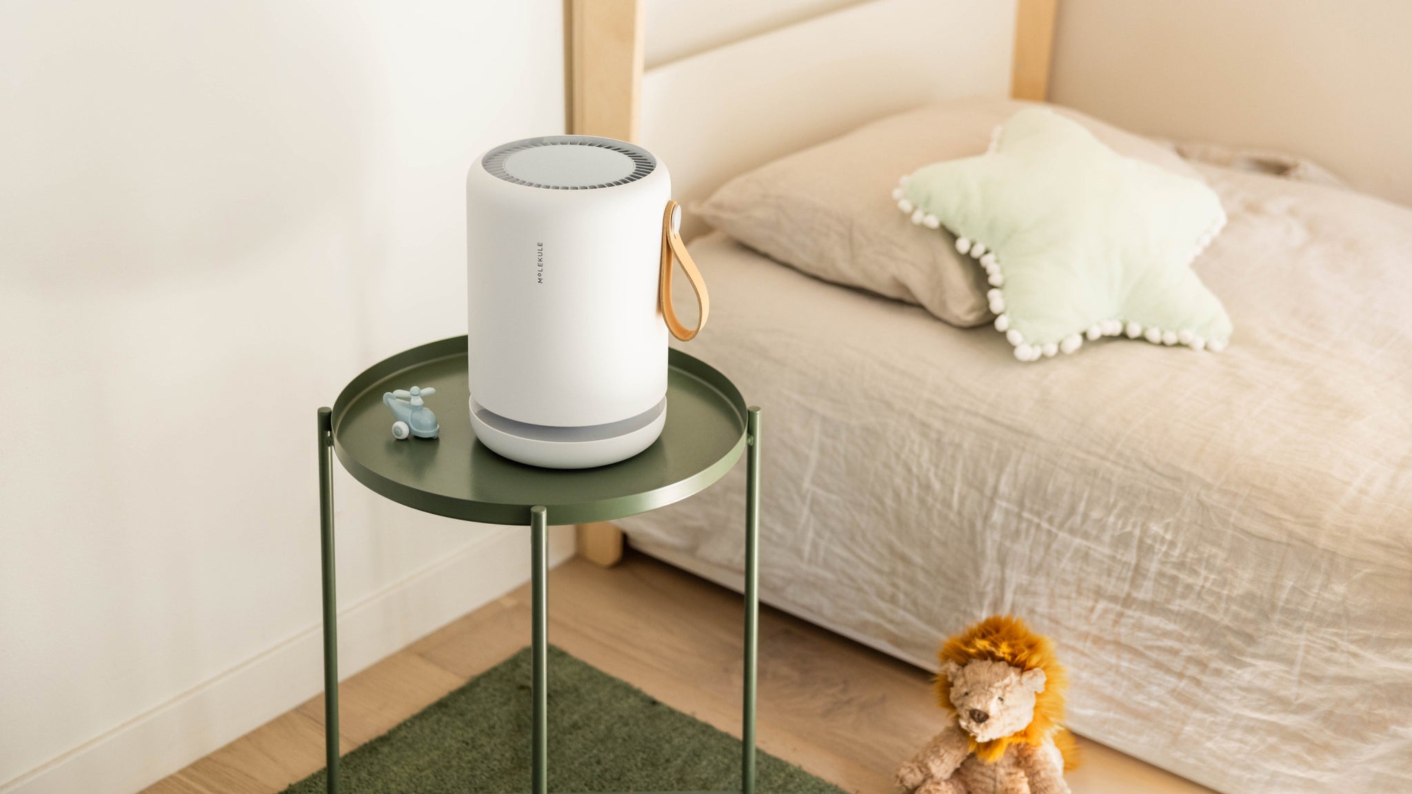 Does Black Mold Smell