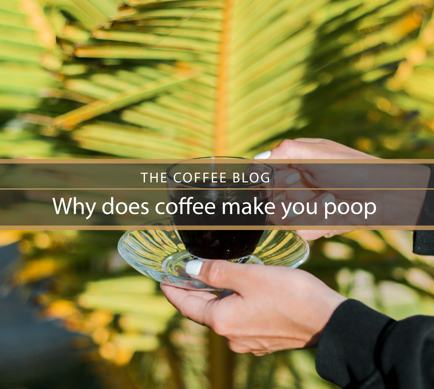 Does Coffee Make You Pee