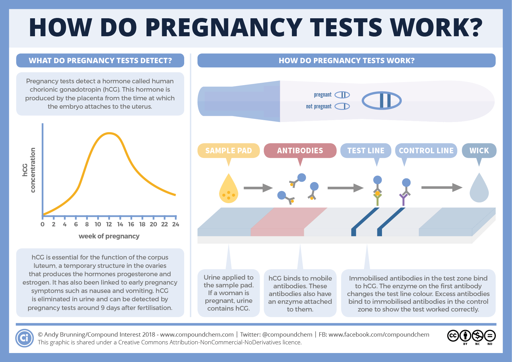 Does Expired Pregnancy Test Work