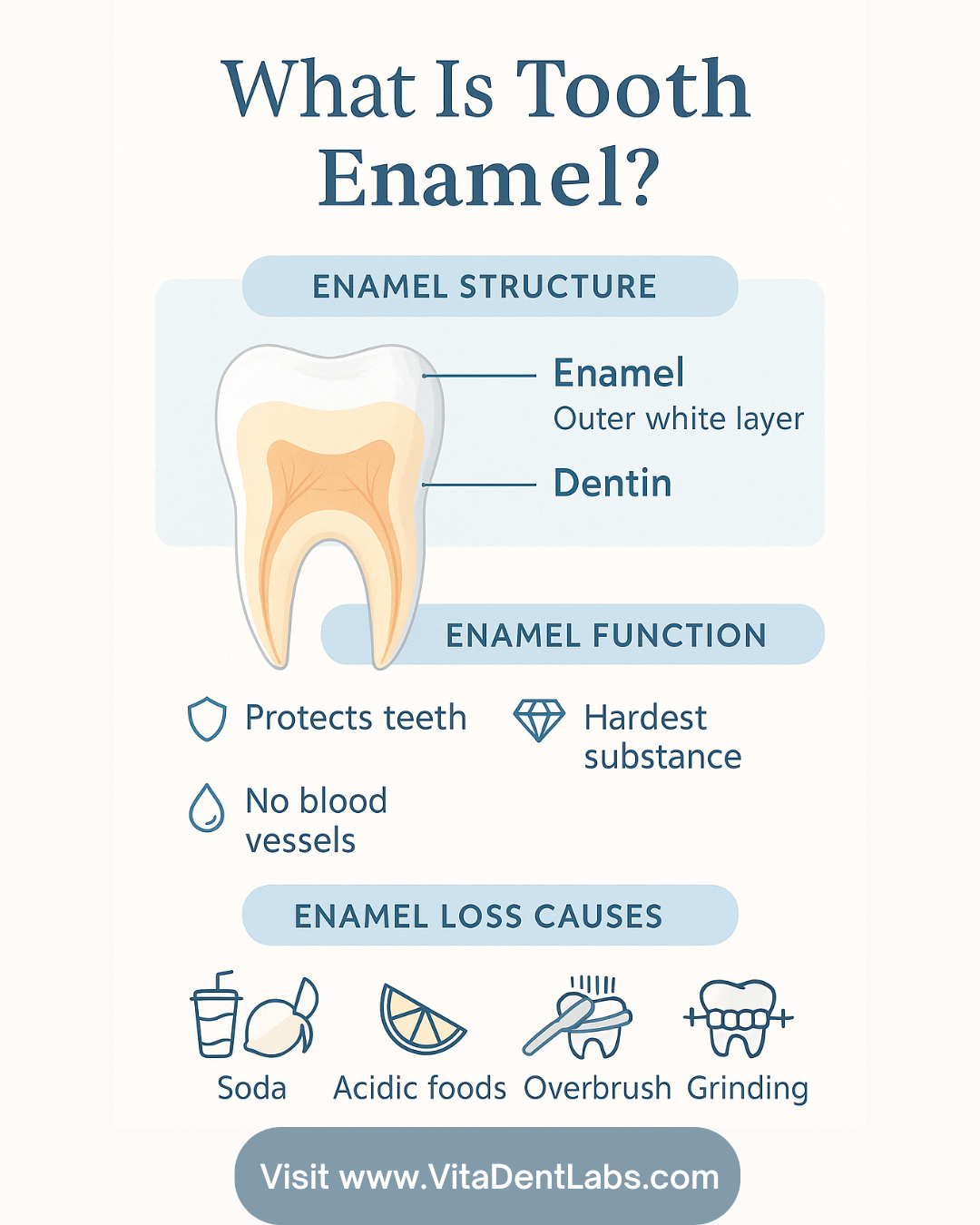 Does The Enamel Grow Back