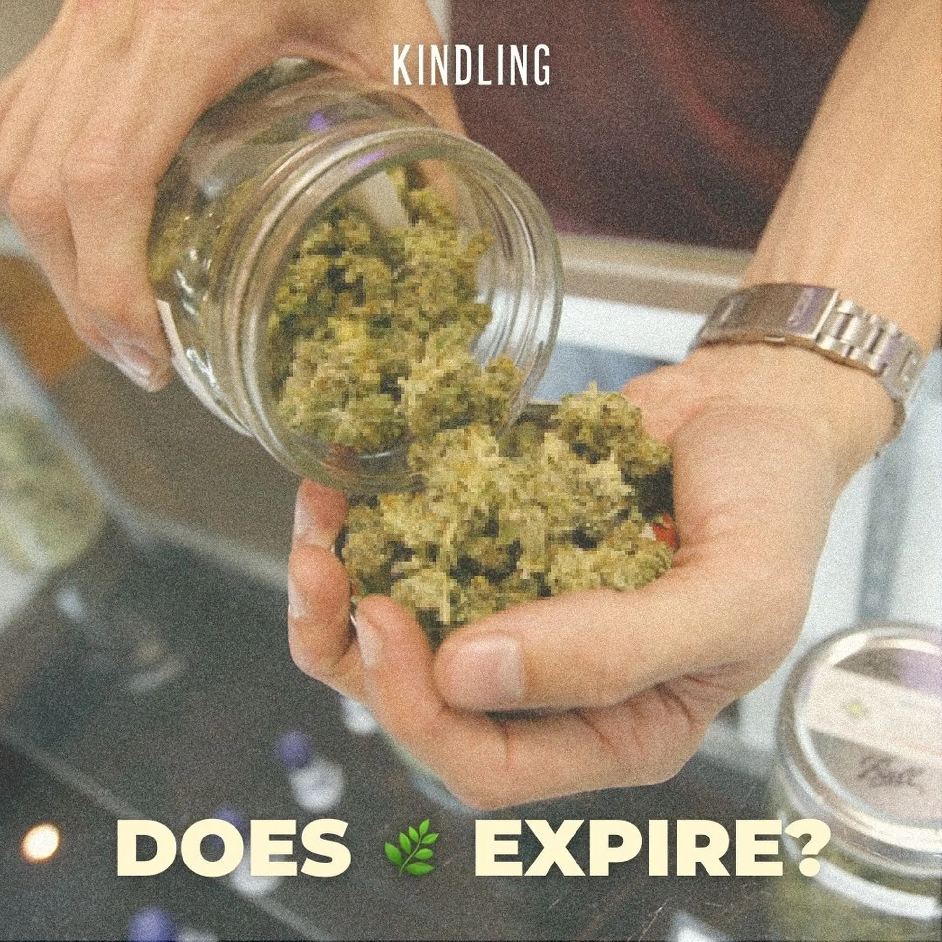 Does Weed Expire After 3 Years