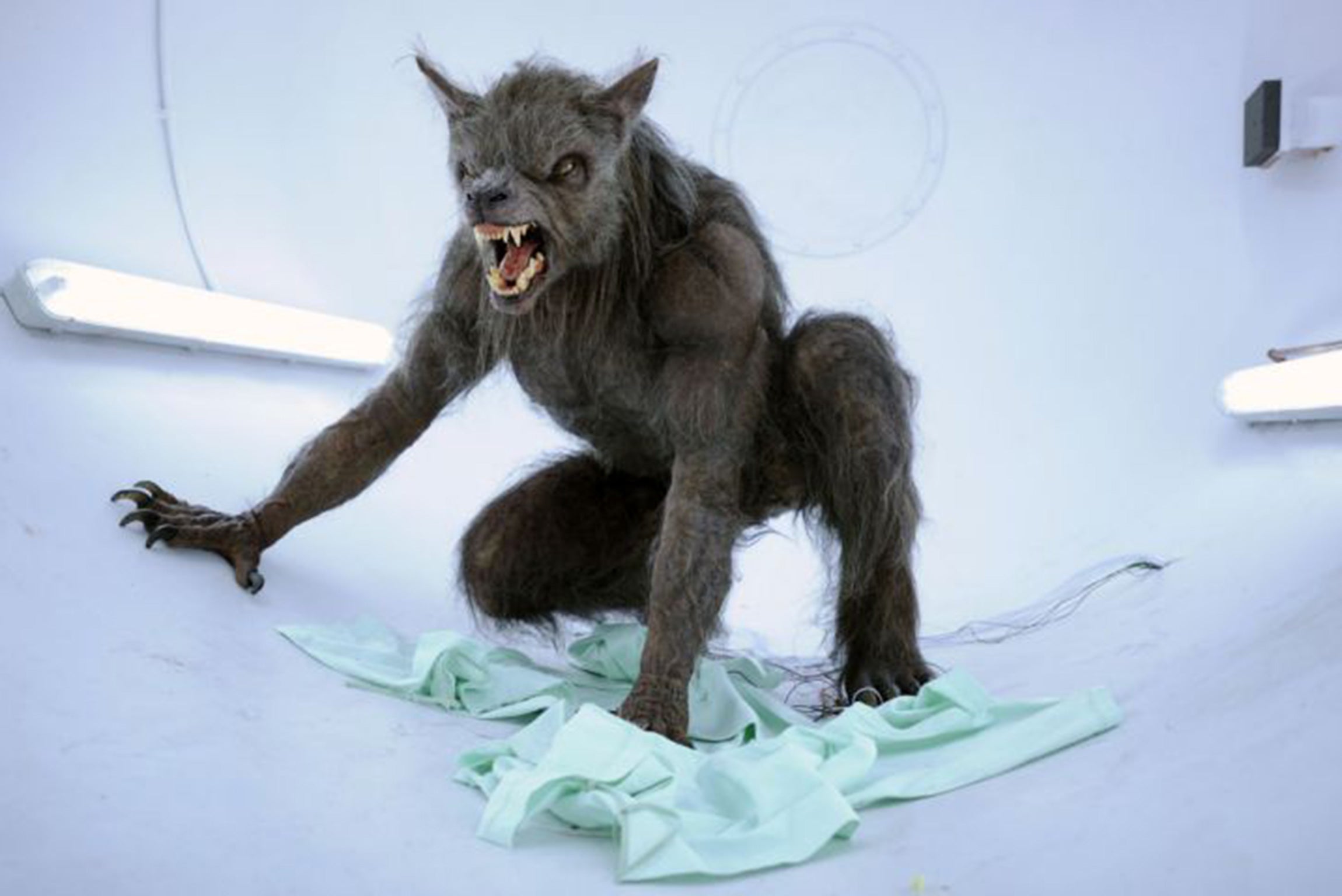 Does Werewolf Exist In Real Life