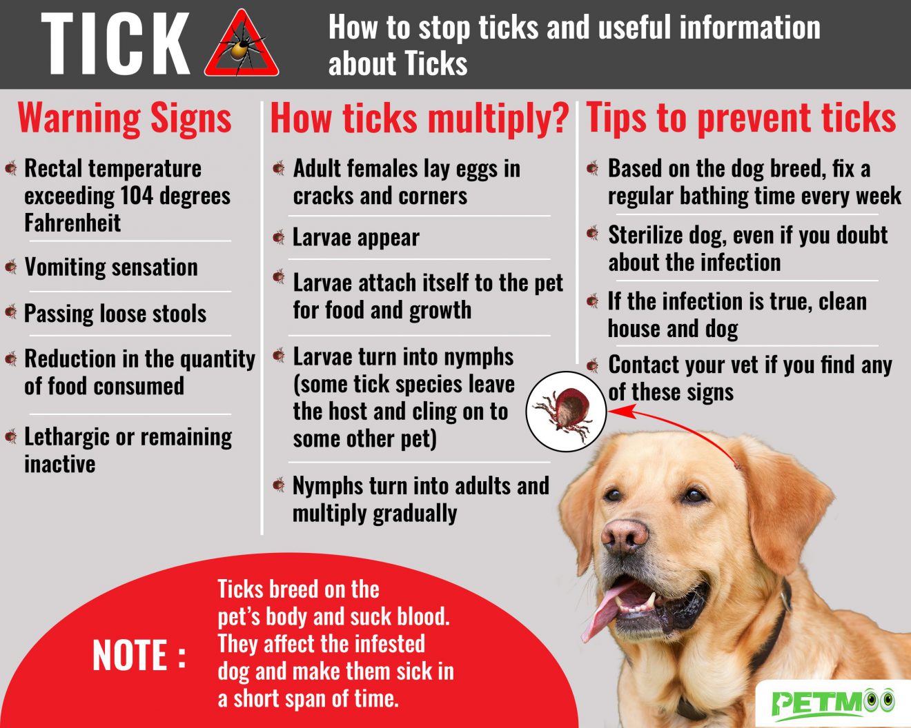 Dog Tick Bite Treatment