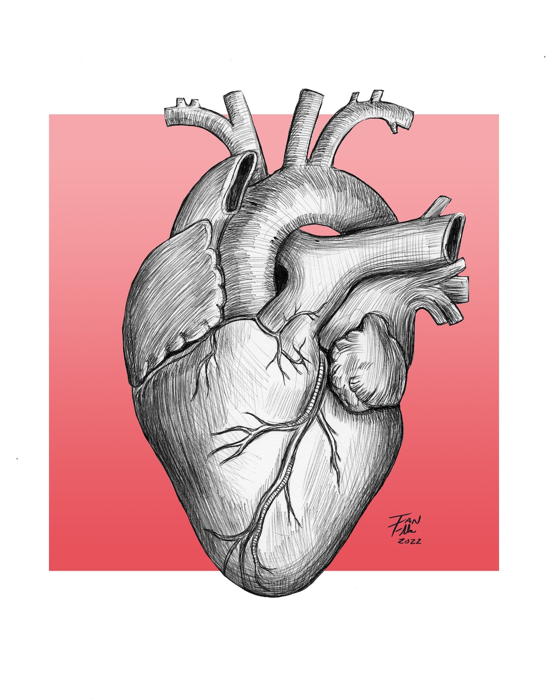 Drawing Of Heart