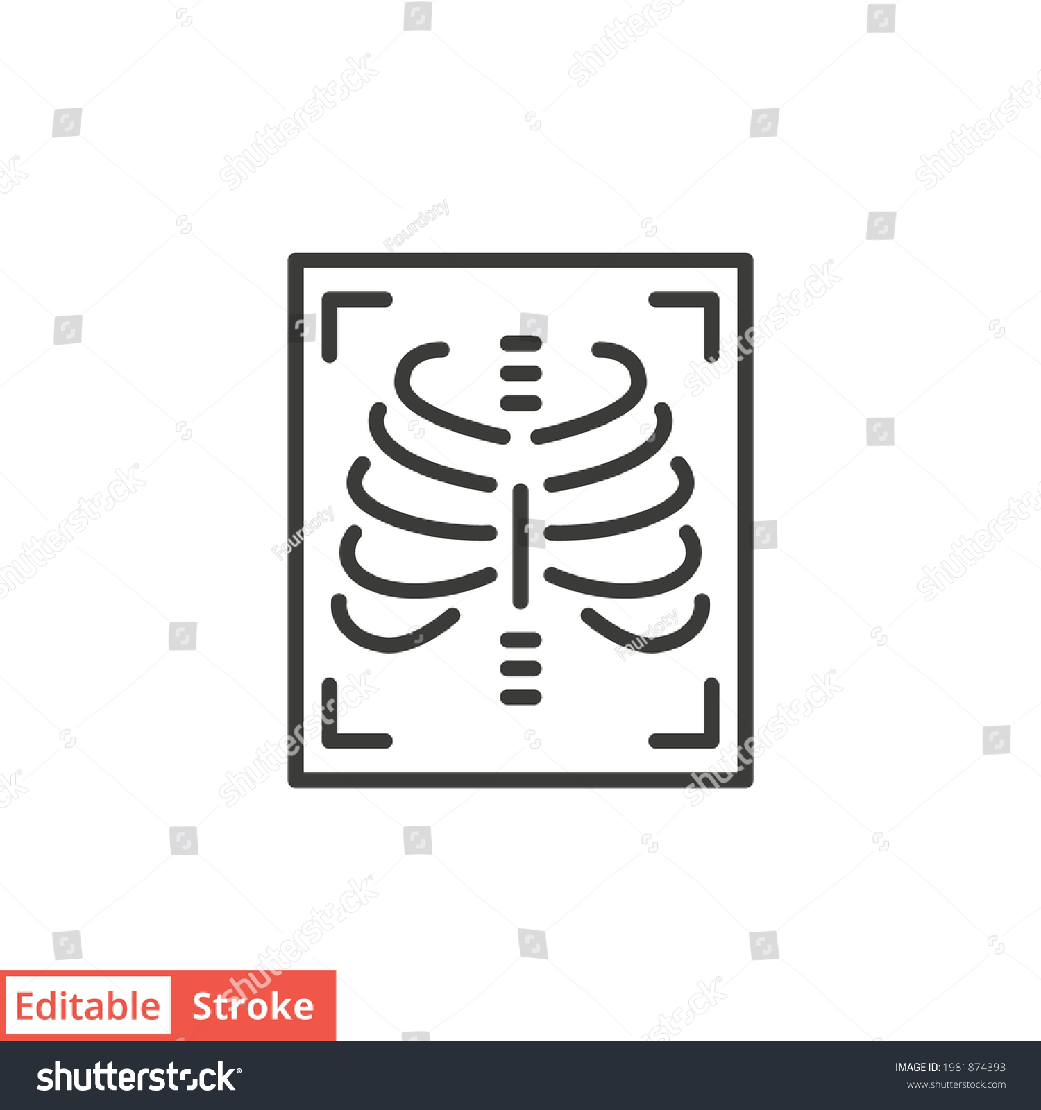Drawing Of Xray