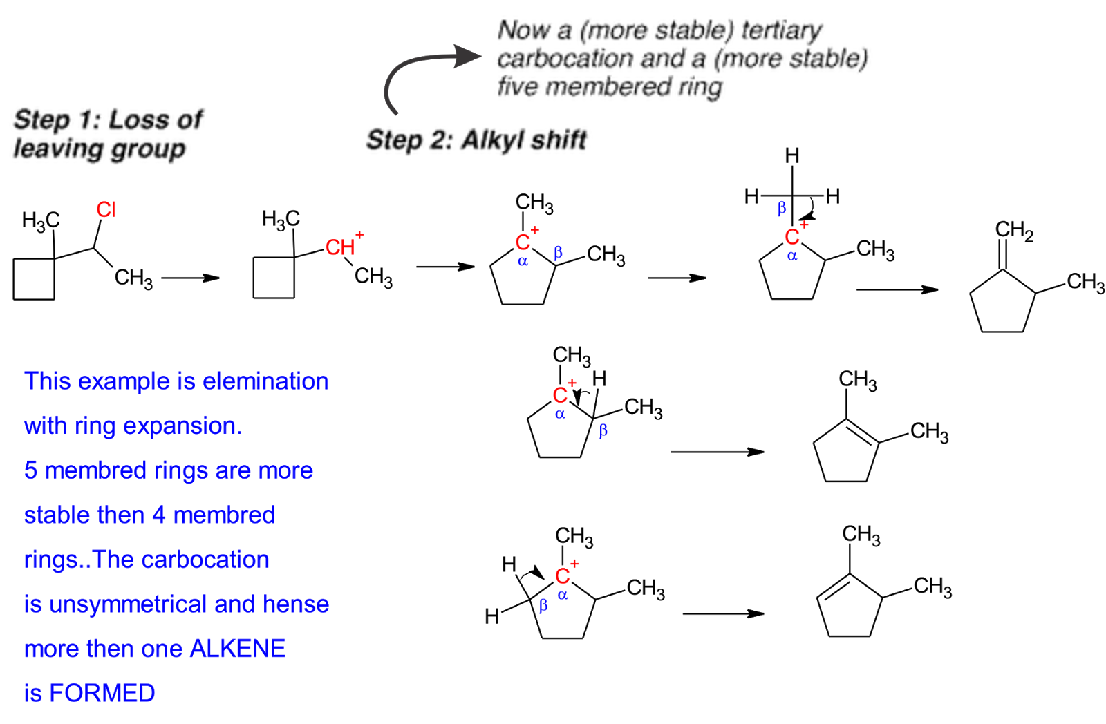 E1 Reaction Mechanism