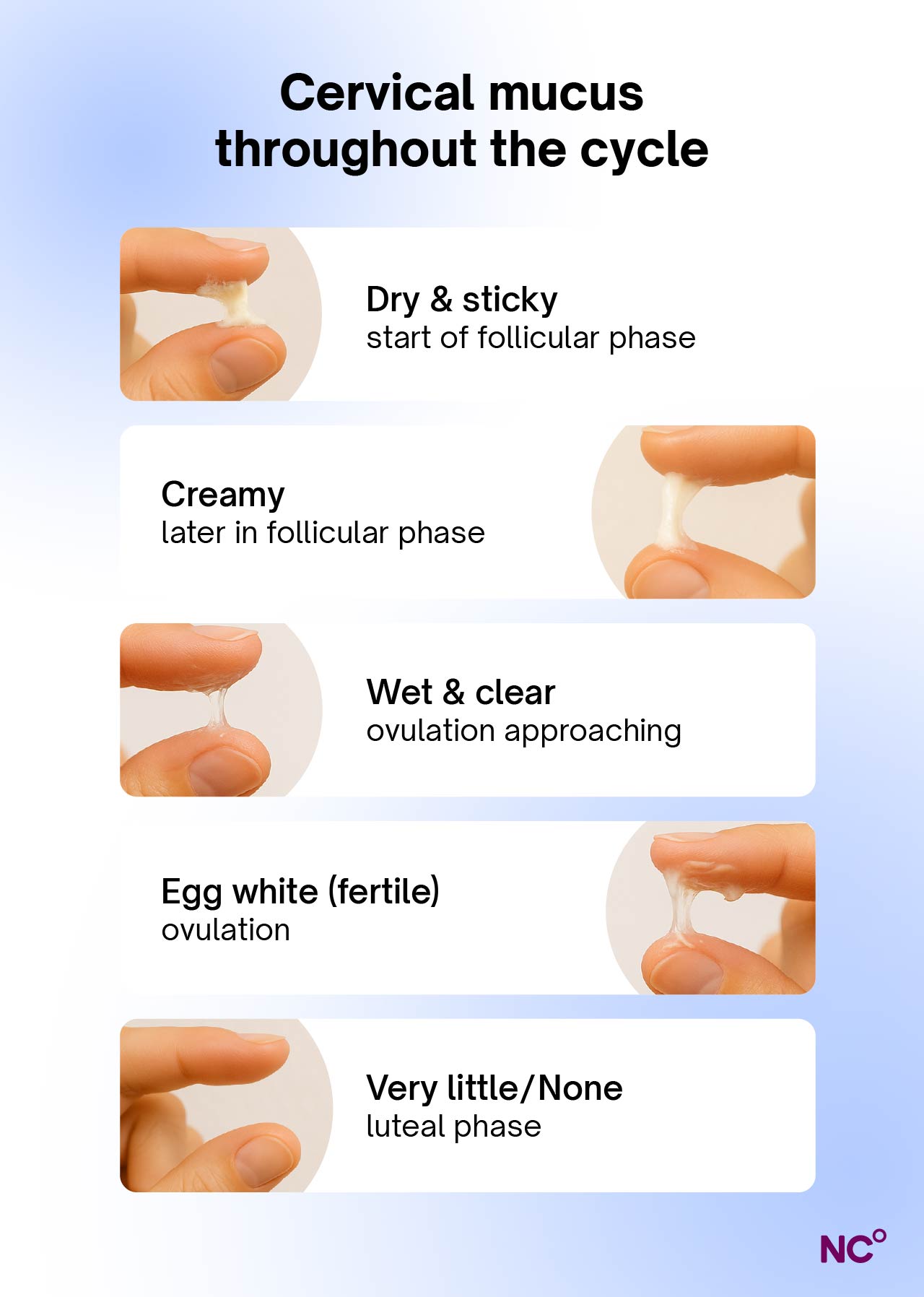 Egg White Cervical Mucus