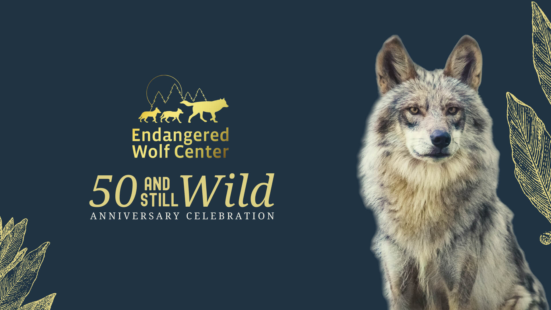 Endangered Wolf Center Tickets