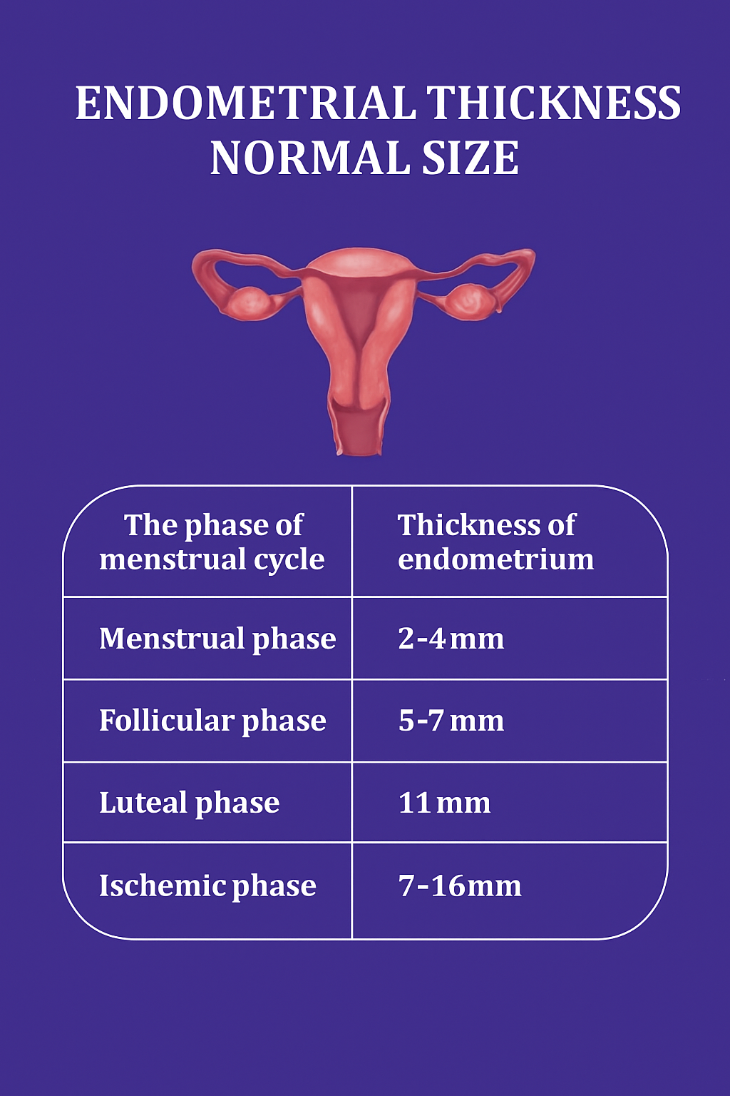 Endometrium Thin Lining