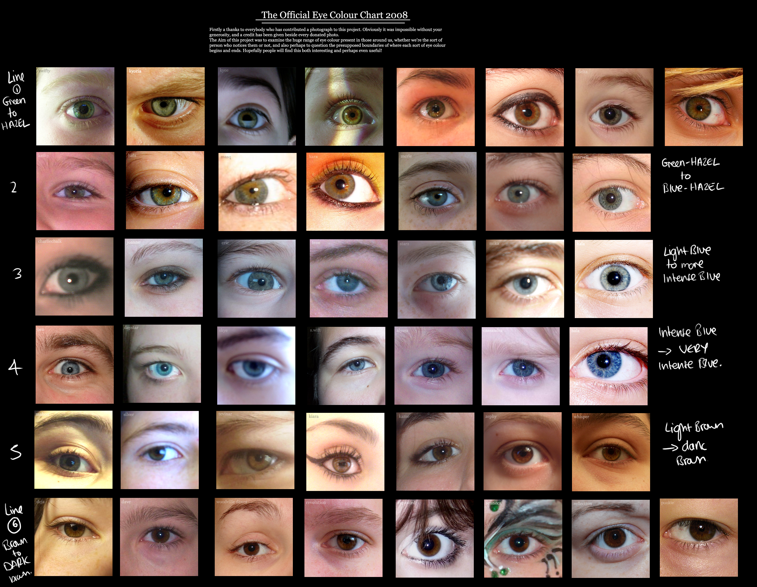 Every Eye Colour