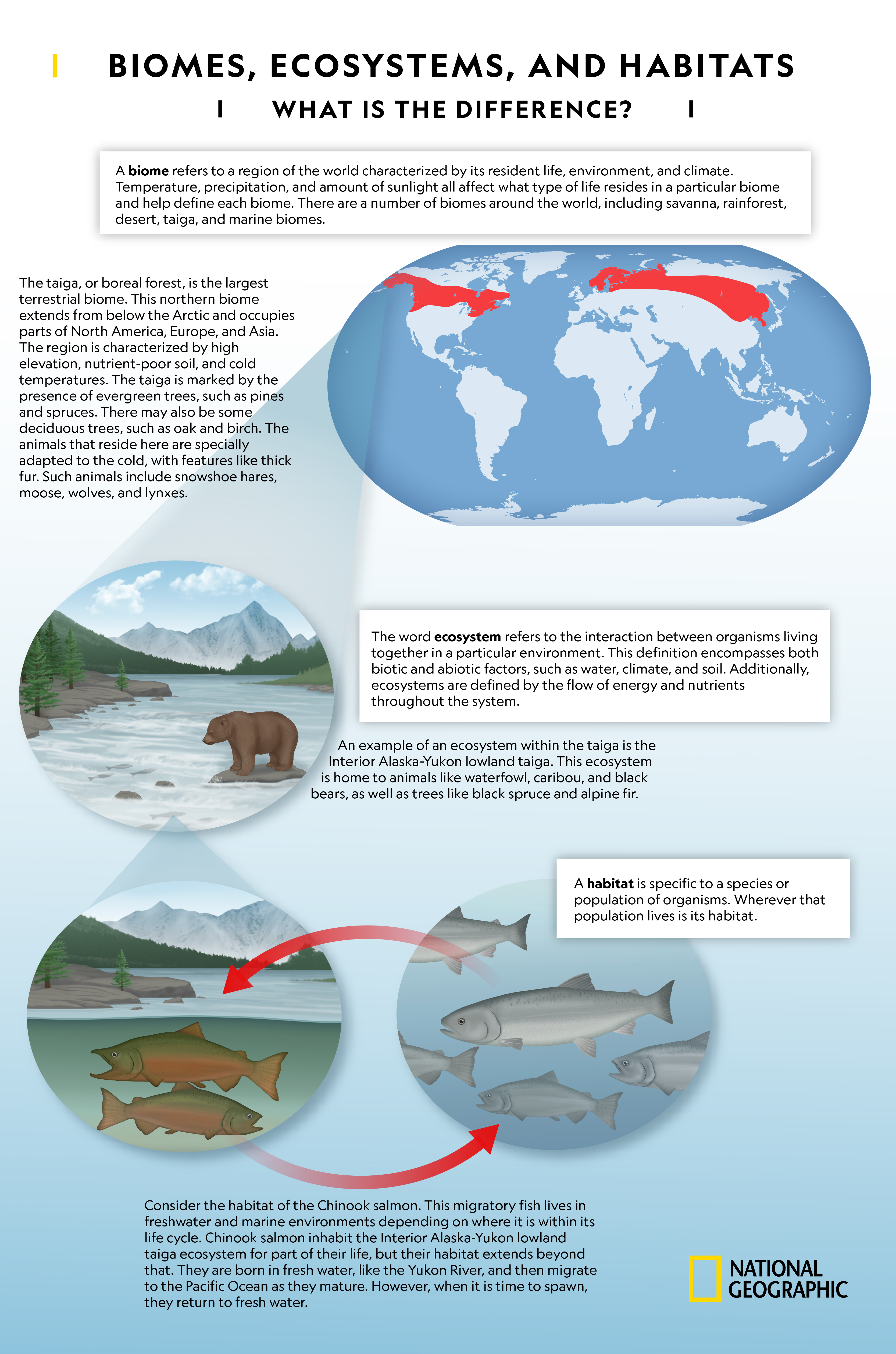 Examples Of Ecosystem