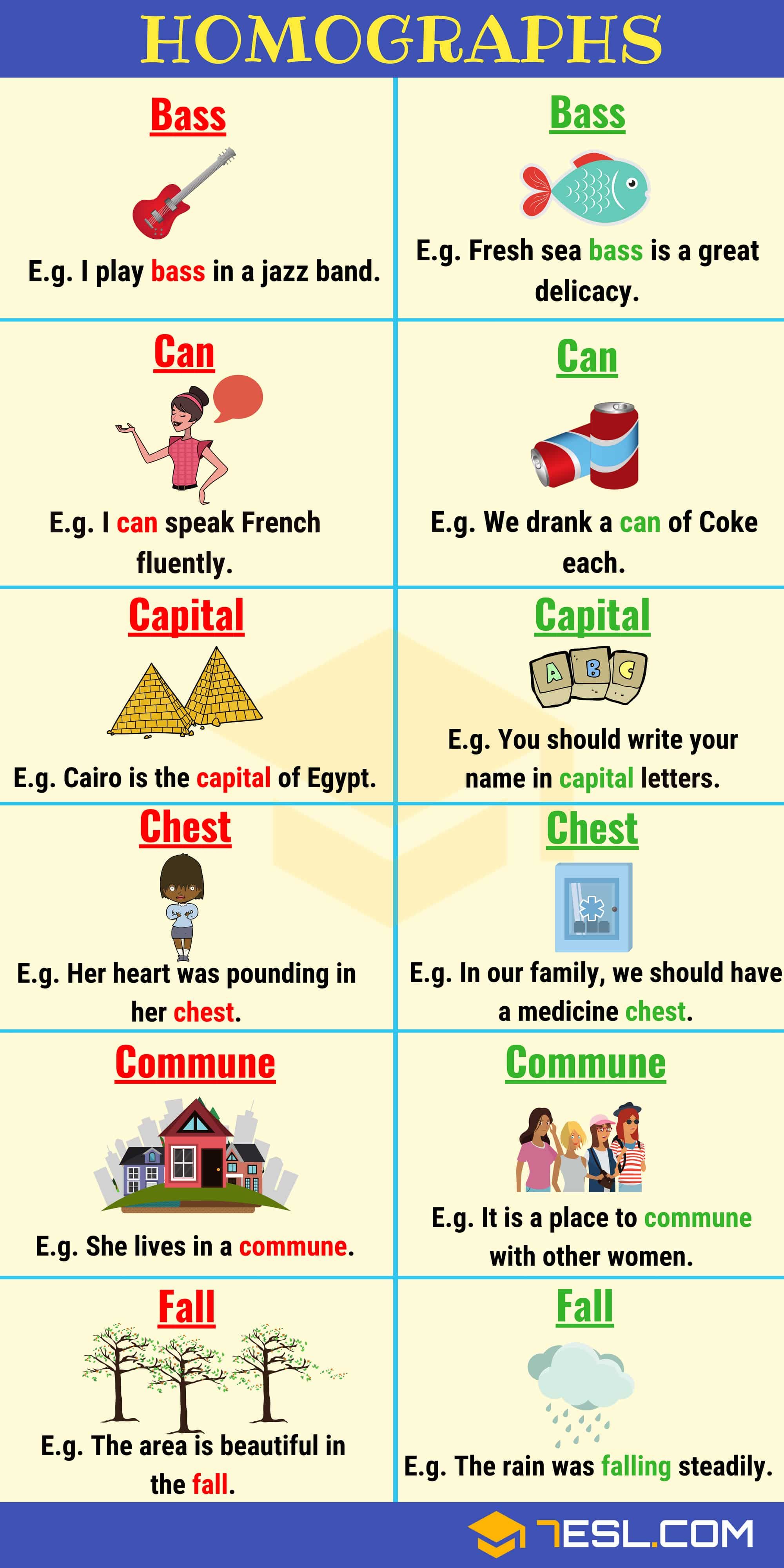 Examples Of Homograph Sentences