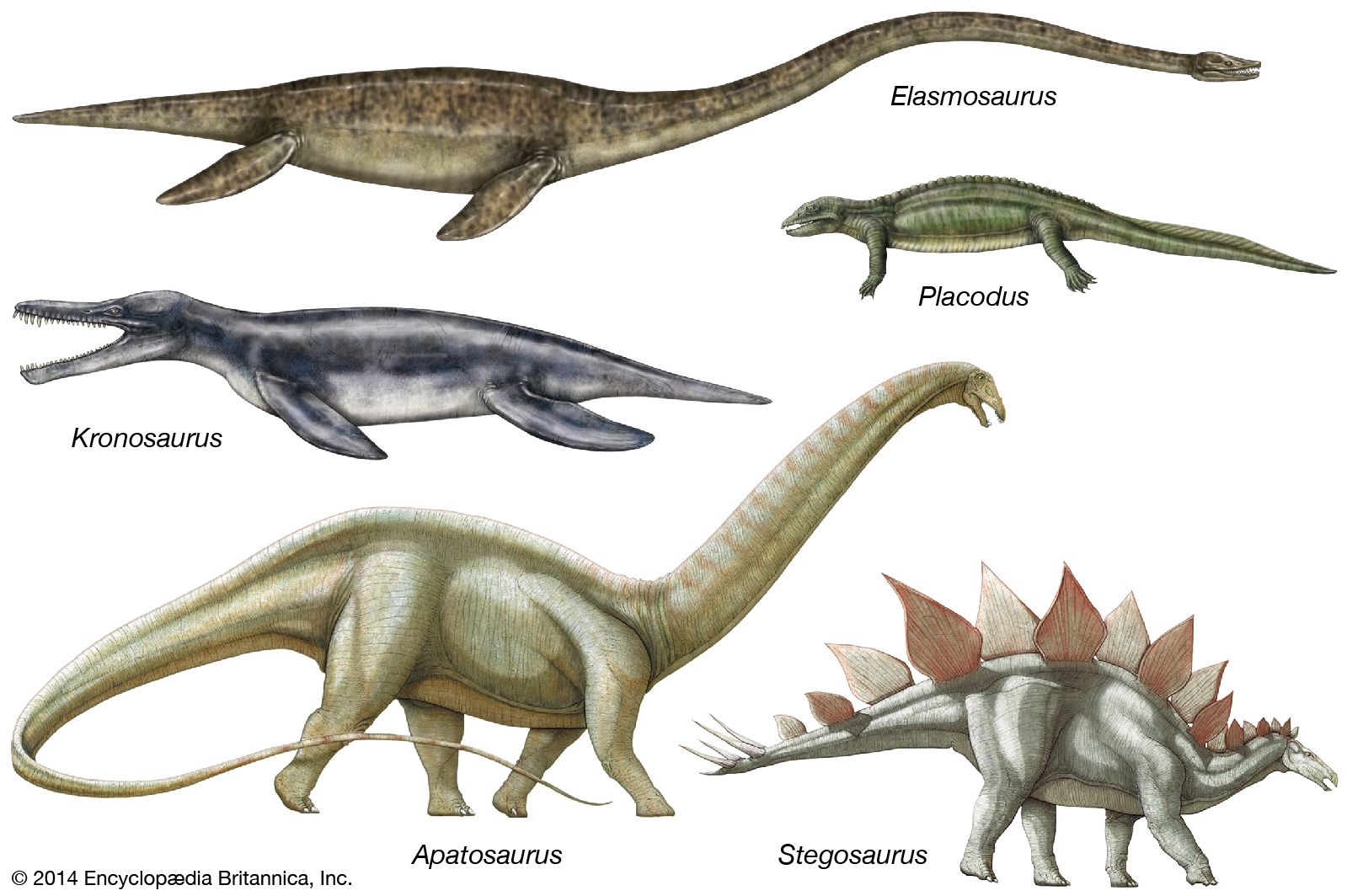 Extinct Of Reptiles
