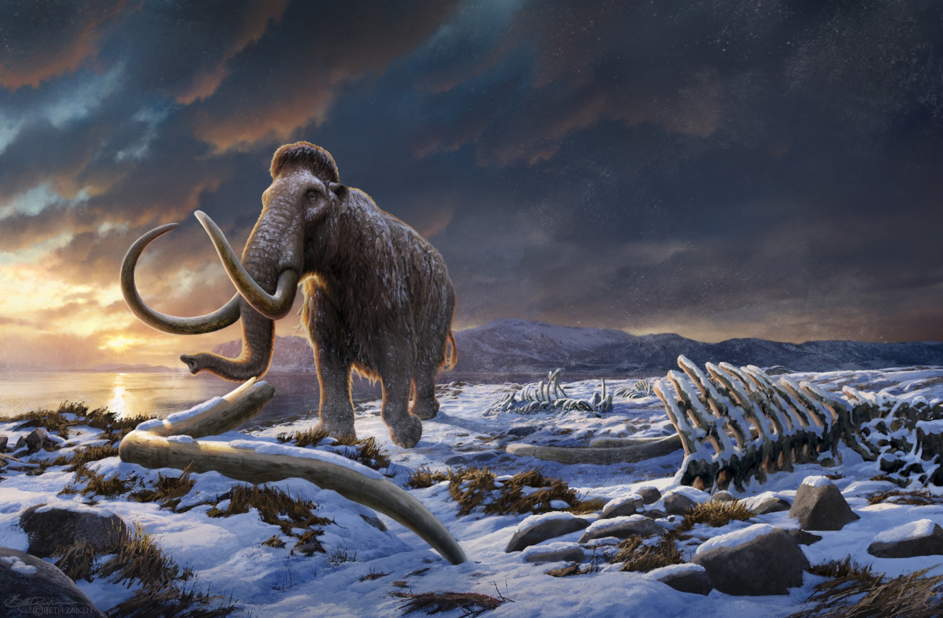 Extinction Of Woolly Mammoth Date