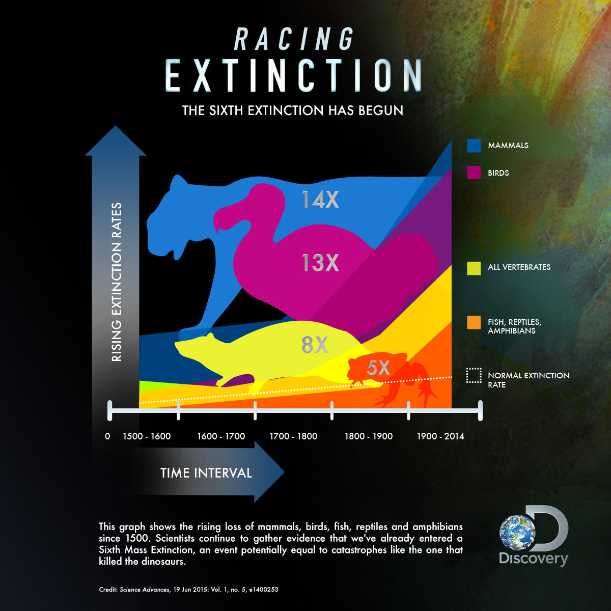 Extinction Rate Of Species