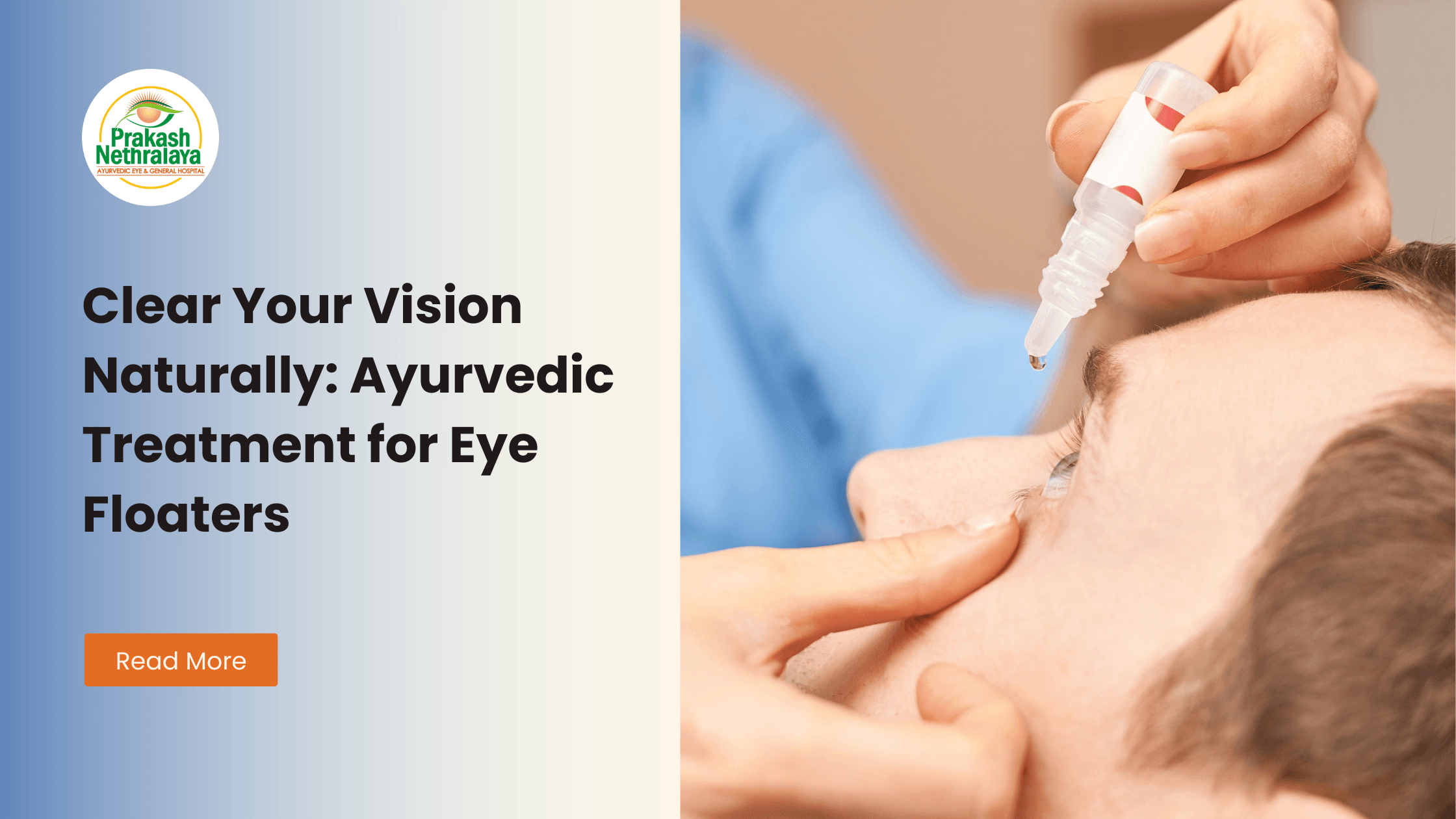 Eye Floater Remedy