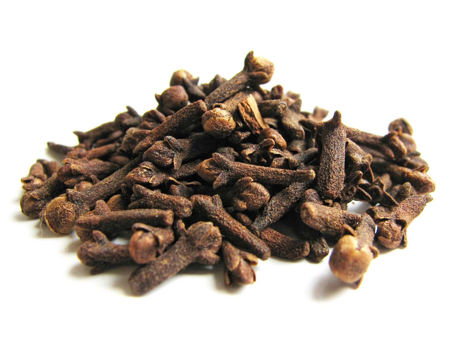 Family Of Clove