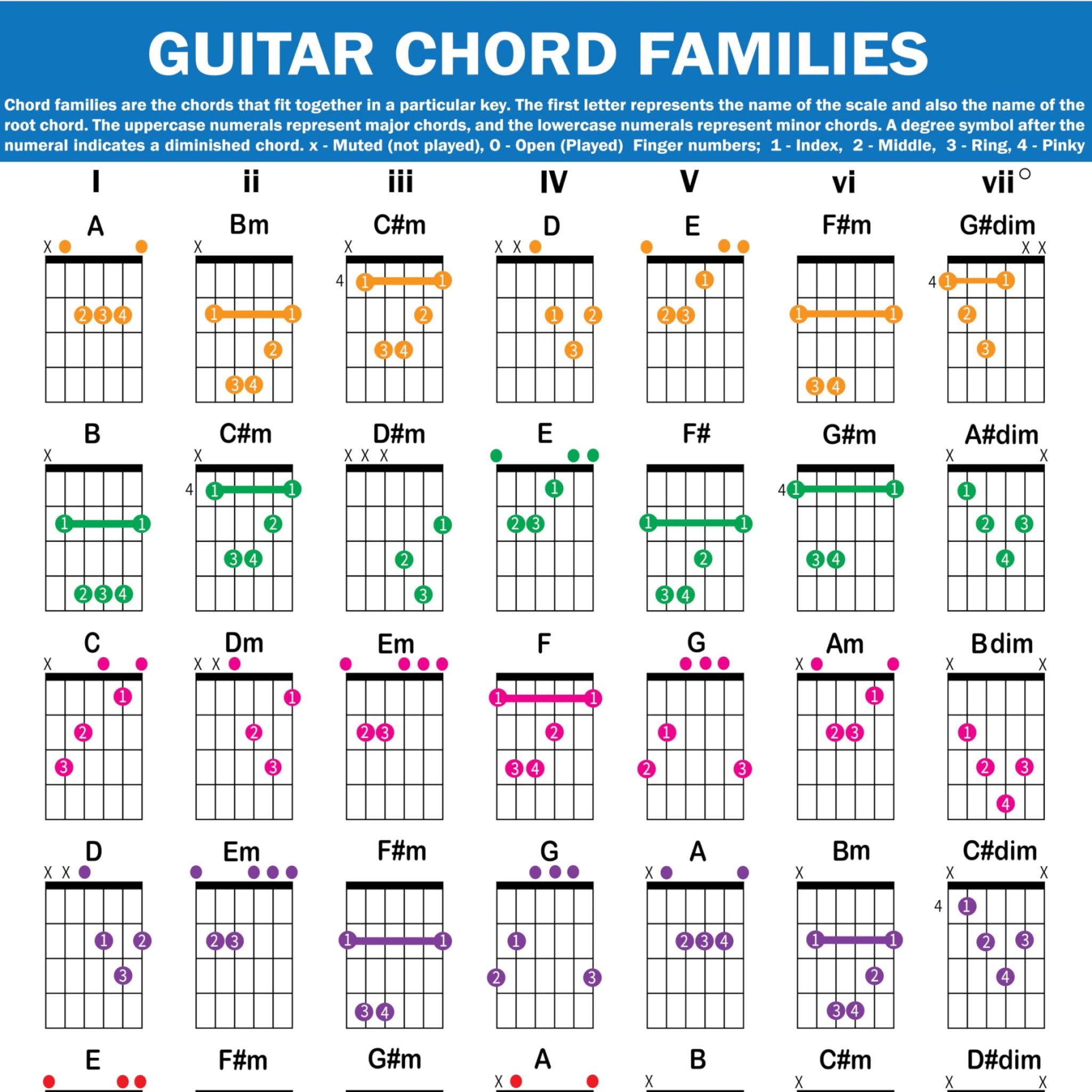 Family Of E Chords